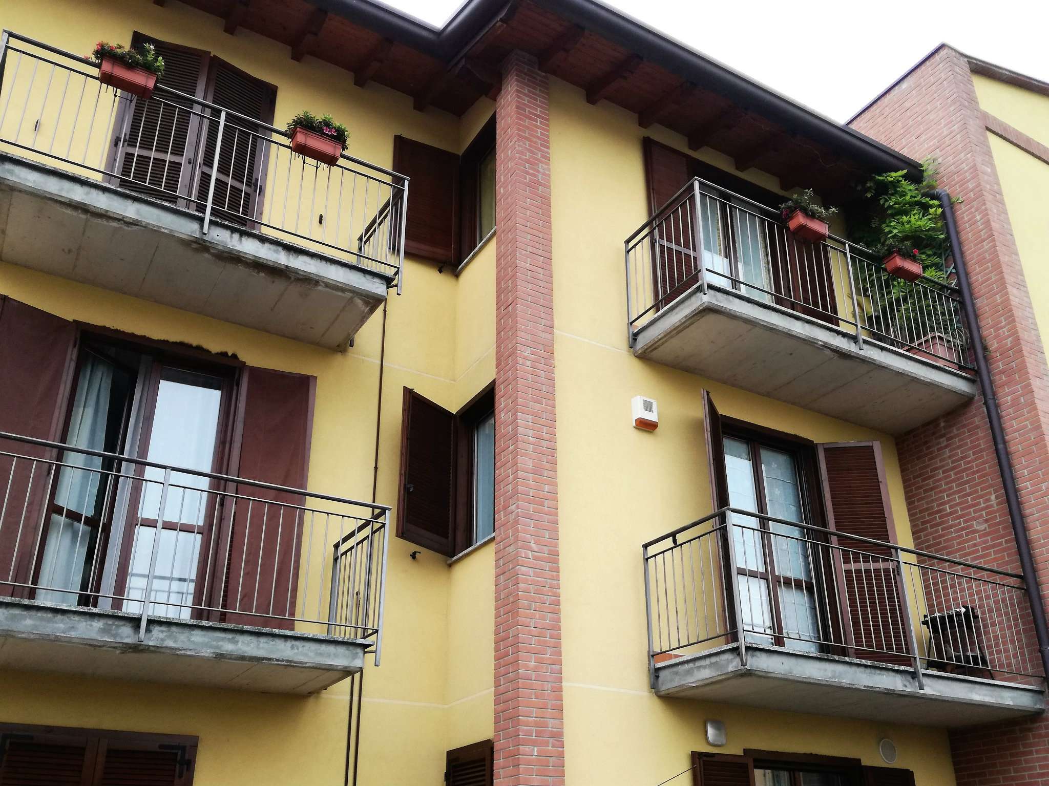 Appartamento LOZZA affitto   piave Immobiliare Magenta 2000 snc