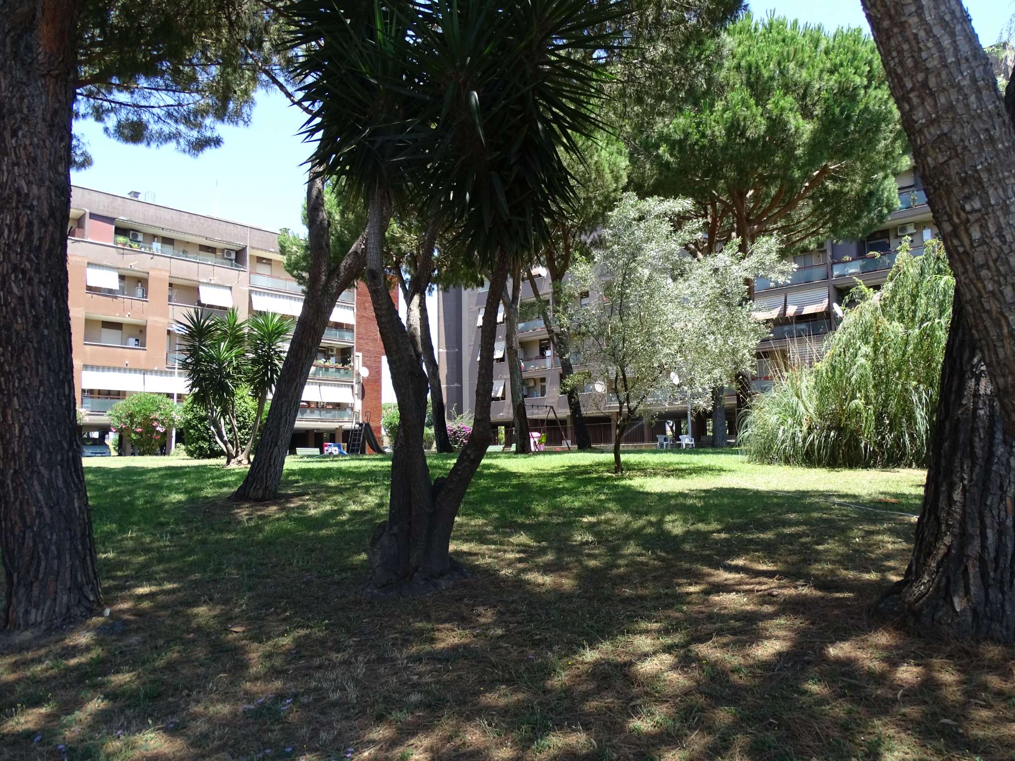 Roma Vendita APPARTAMENTO