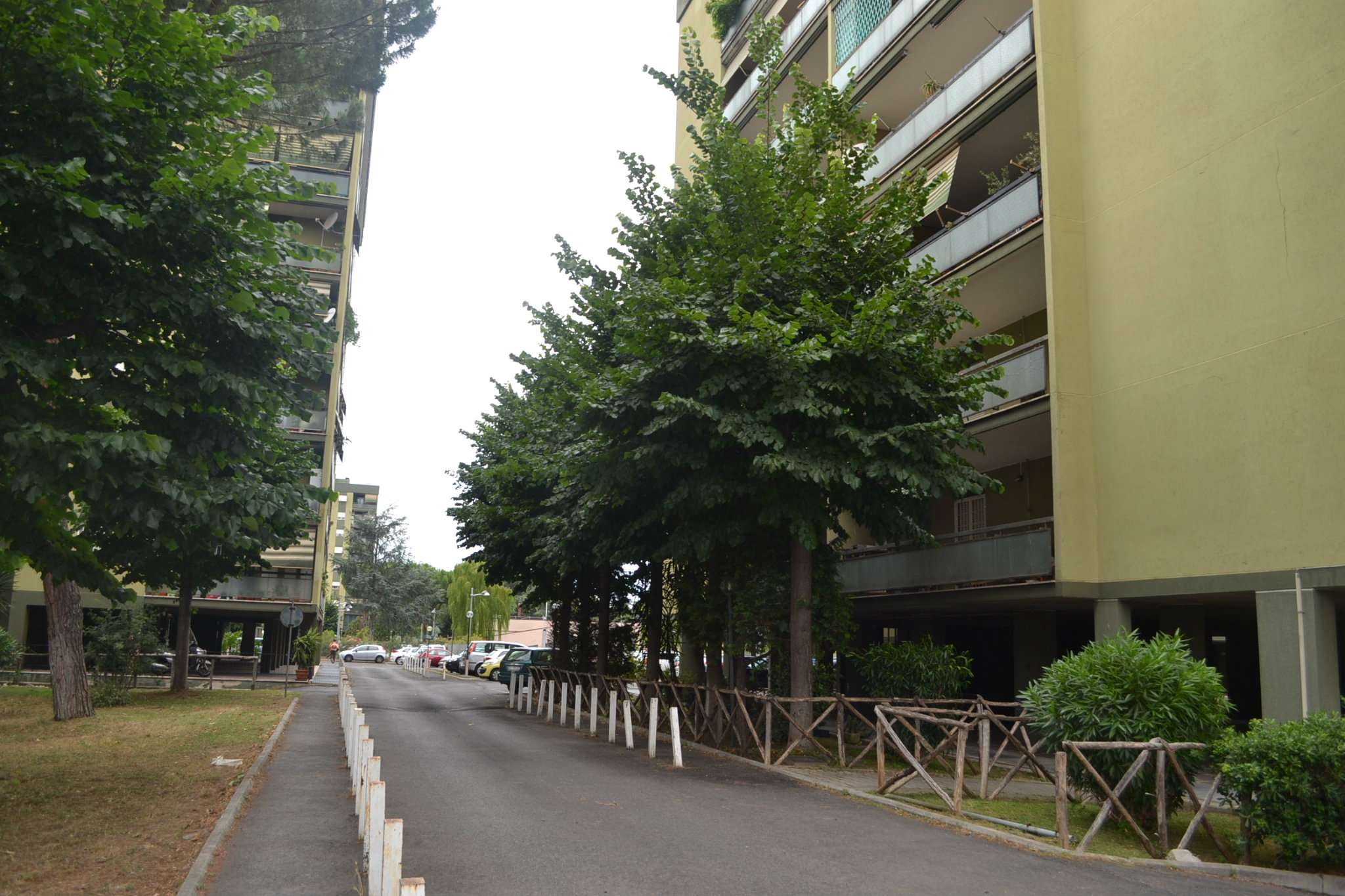 Appartamento ROMA vendita  TORRINO (ZONA DELLA XII MUN.)  del Fiume Bianco L'Immobiliare Punto