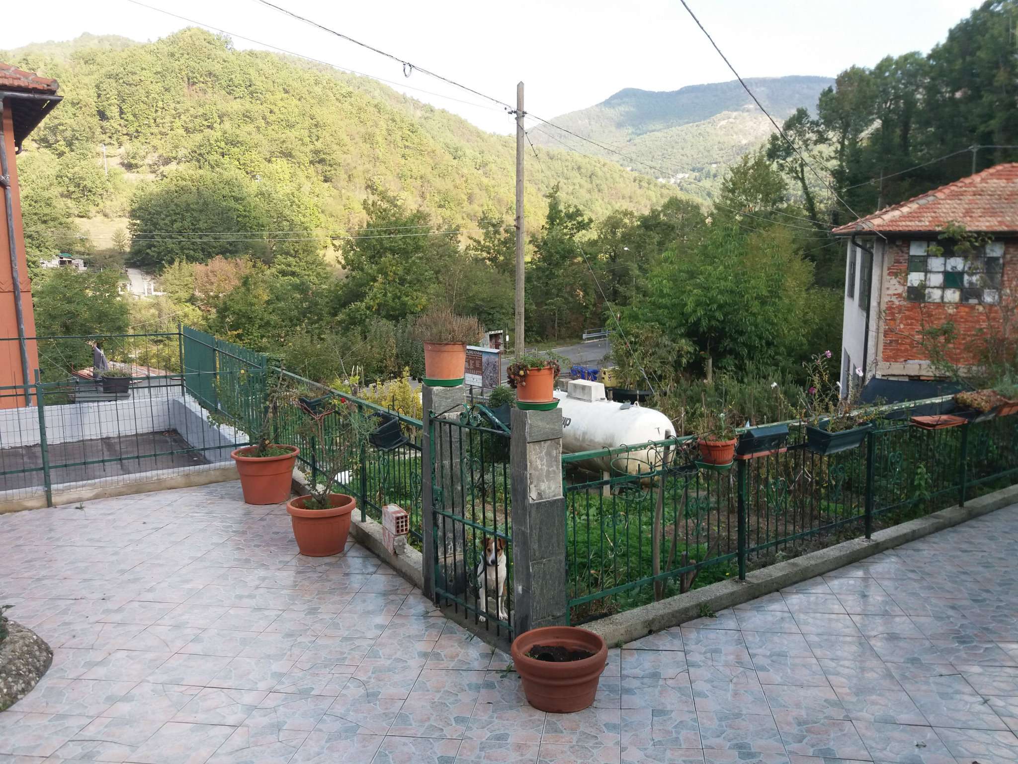 Villa Unifamiliare - Indipendente CASELLA vendita   di Ternano Fieschi Immobiliare