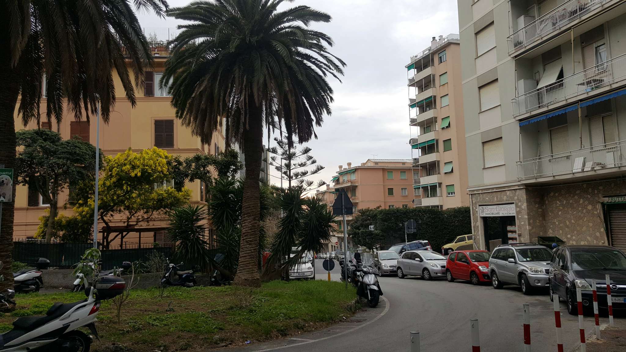 Appartamento GENOVA affitto  QUARTO De Geneys Fieschi Immobiliare