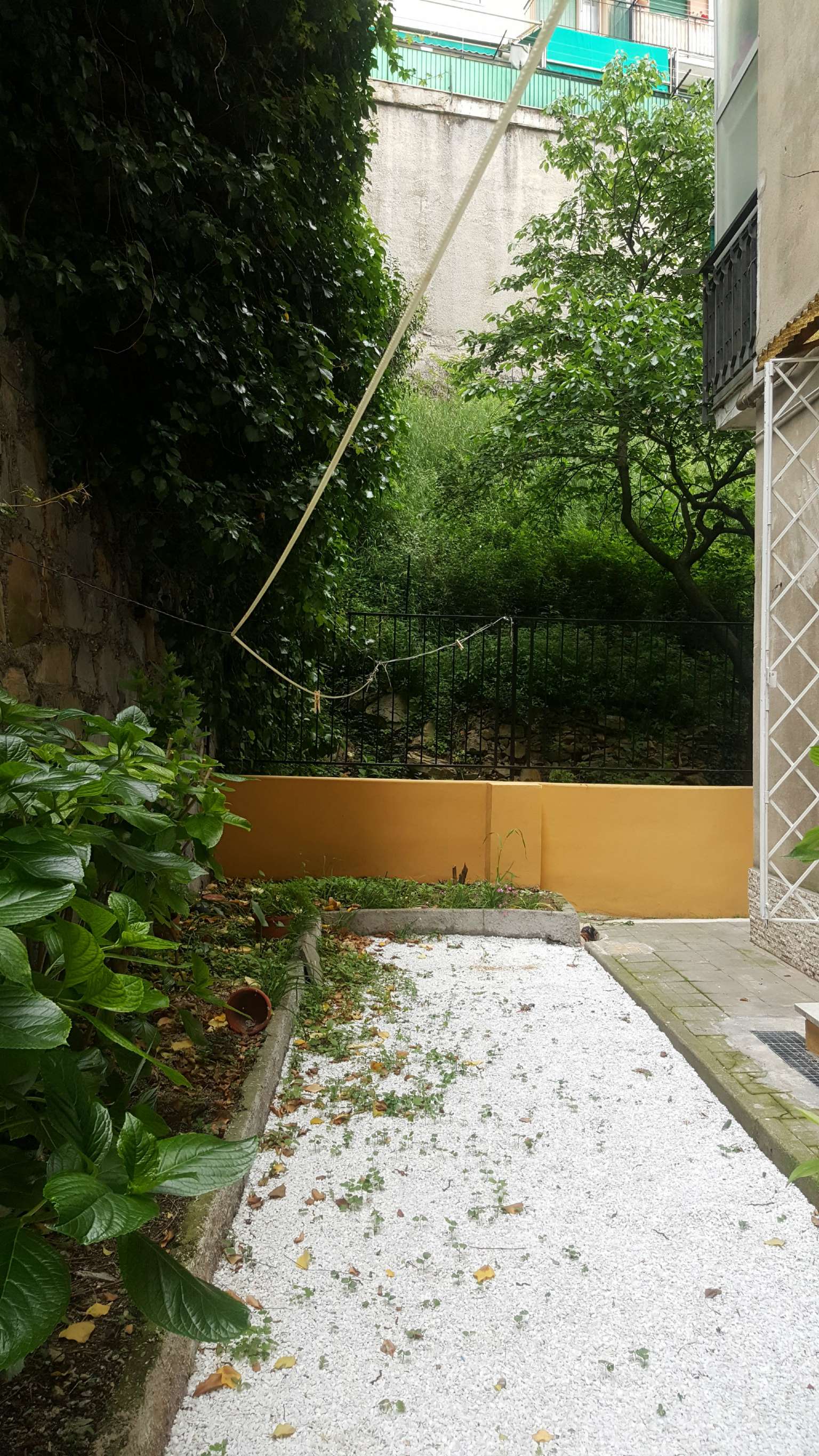 Appartamento GENOVA affitto  MARASSI Giovanni Gribodo Fieschi Immobiliare