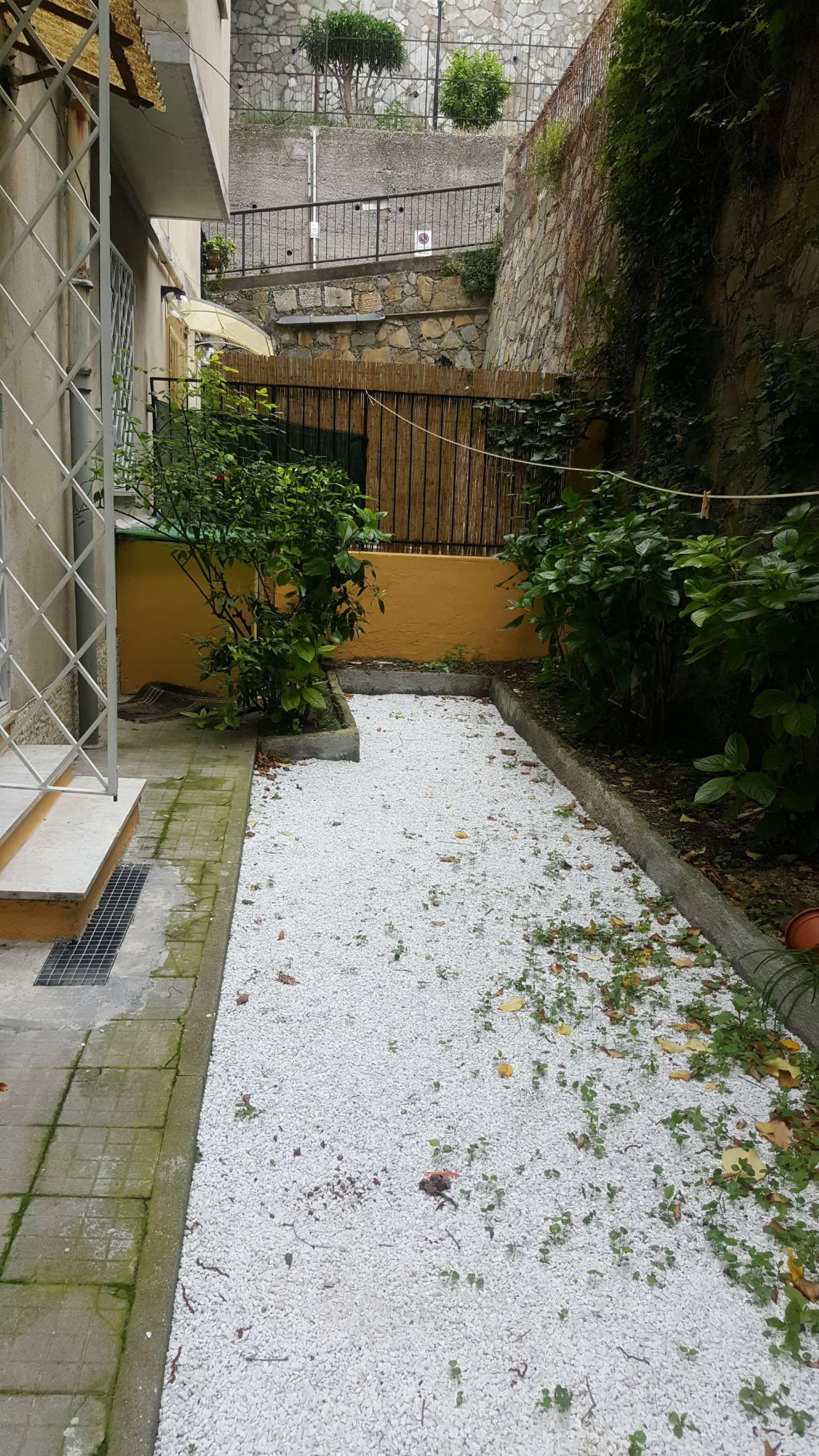 Appartamento GENOVA affitto  MARASSI Giovanni Gribodo Fieschi Immobiliare
