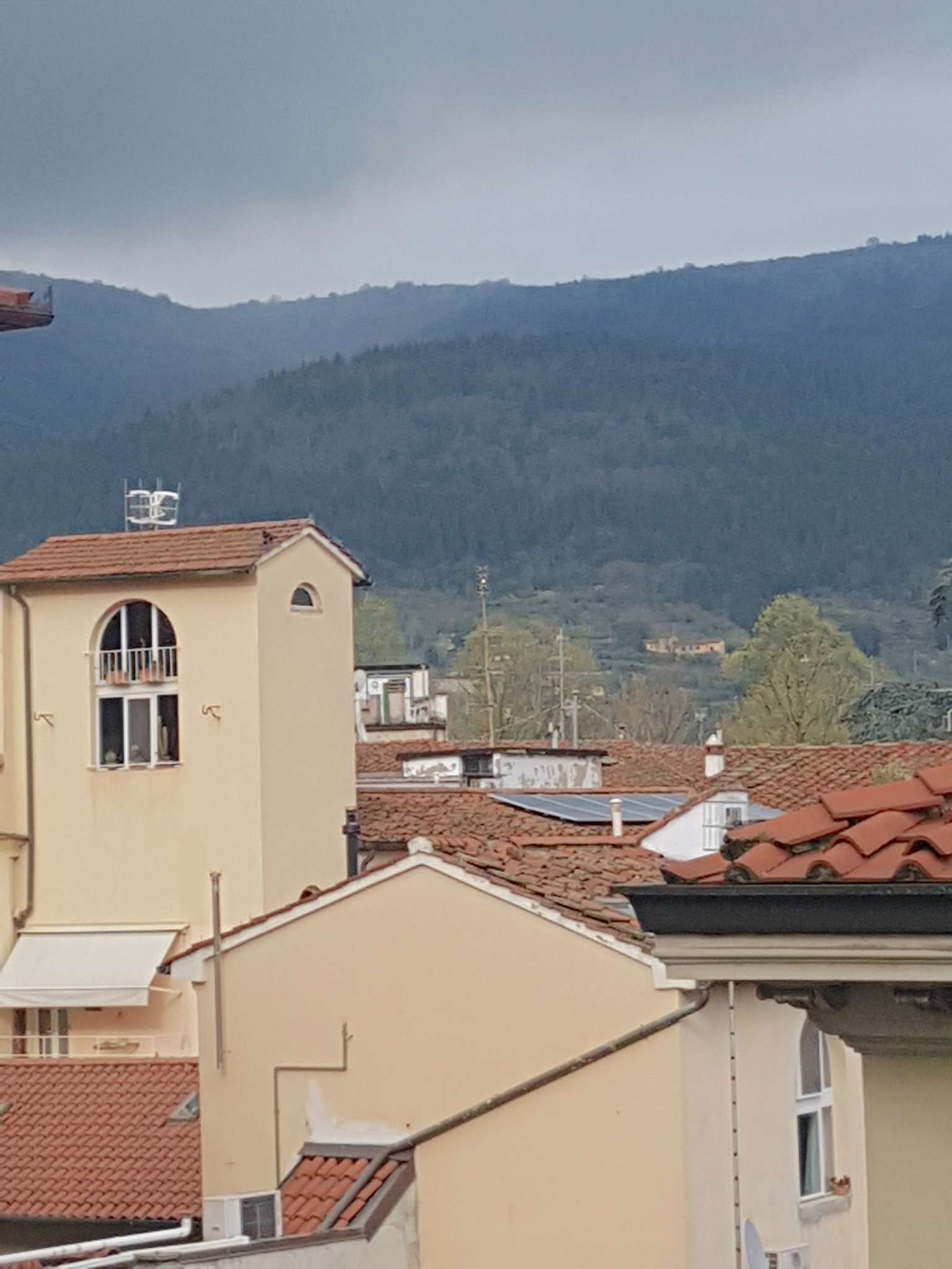 Appartamento PRATO vendita  CENTRO via carraia Immobiliare Laura Chiaramonti