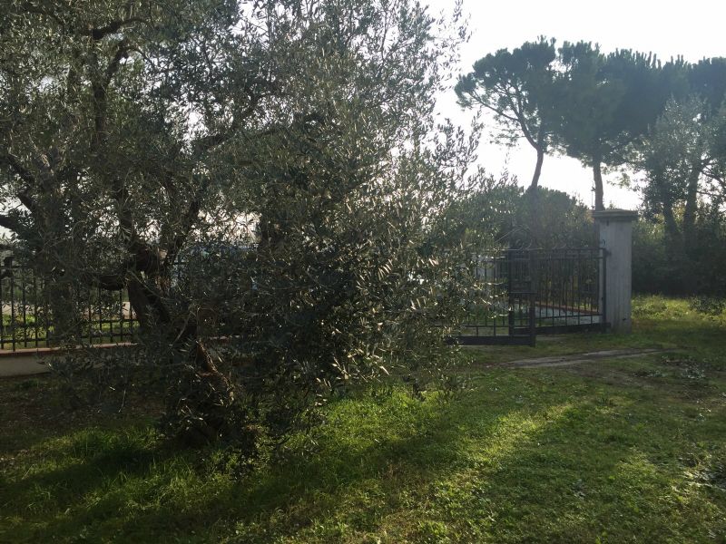 Villa Unifamiliare - Indipendente RIMINI vendita    Casa-Impresa srl