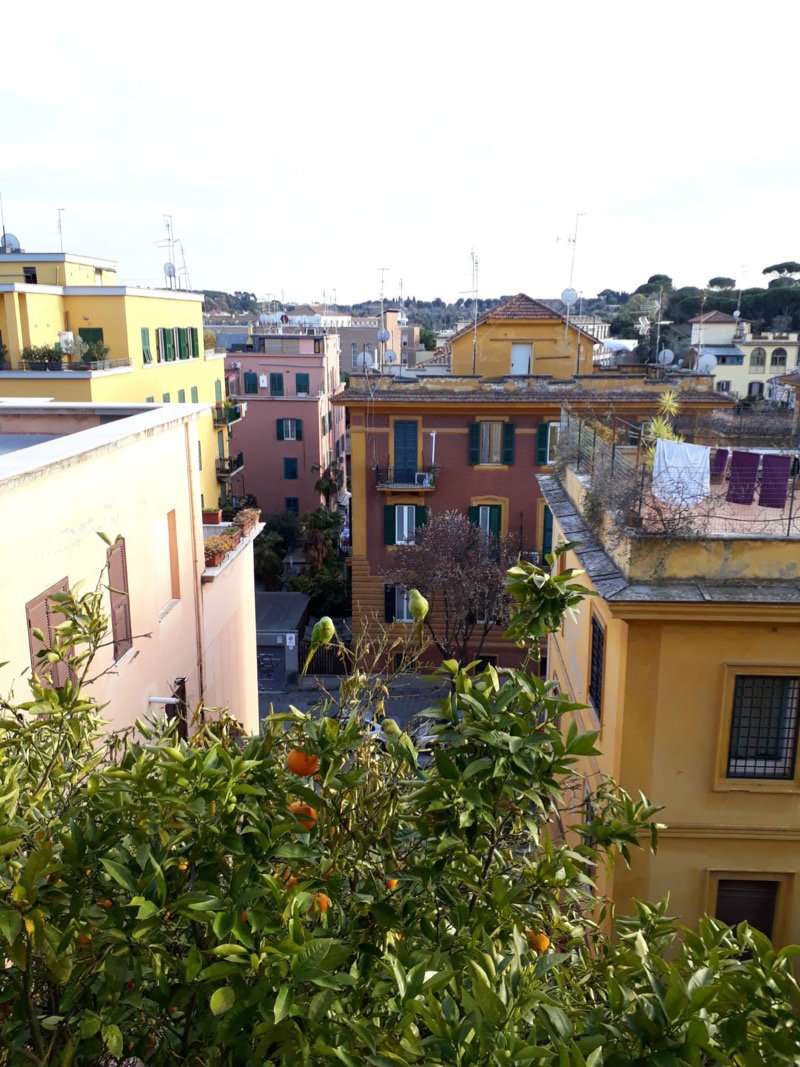 Appartamento ROMA vendita  PRATI Viale Vaticano Studio Leone IV