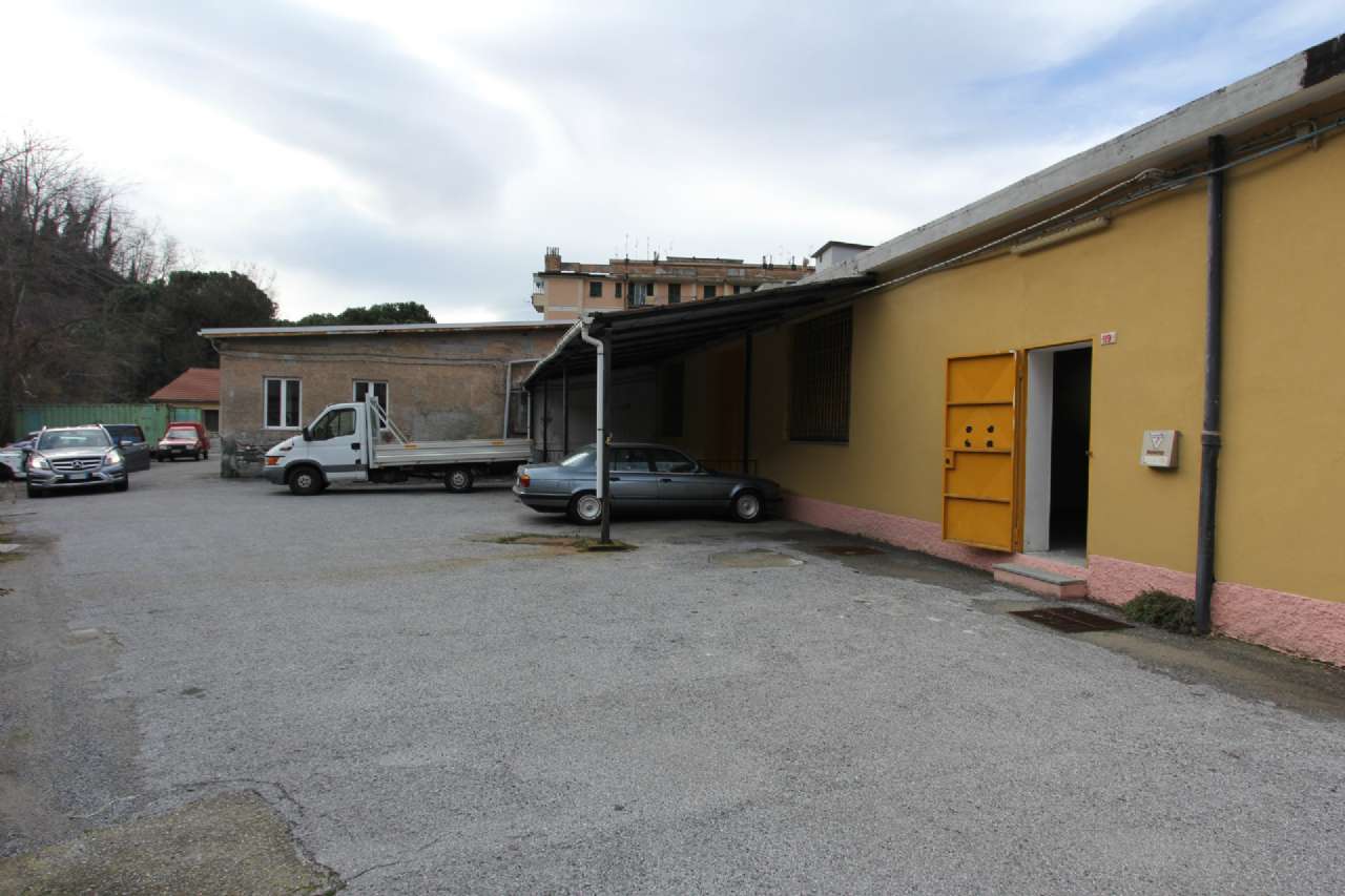 Capannoni (Tutti) GENOVA affitto  PONTEDECIMO Natale Gallino Senarega Case srl