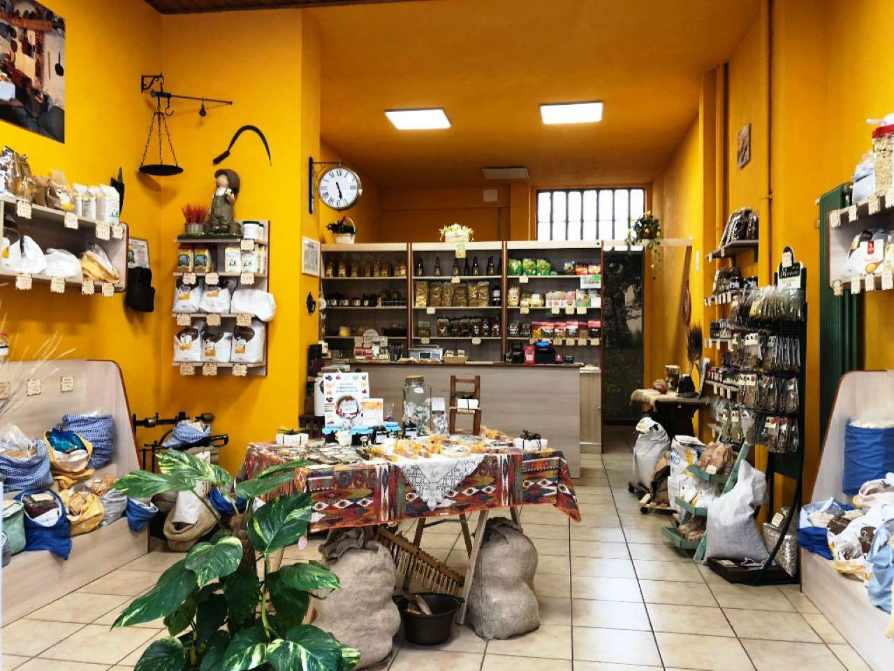 Negozio - Loc.Com. TORINO affitto  PARELLA DOMODOSSOLA Vema Torino