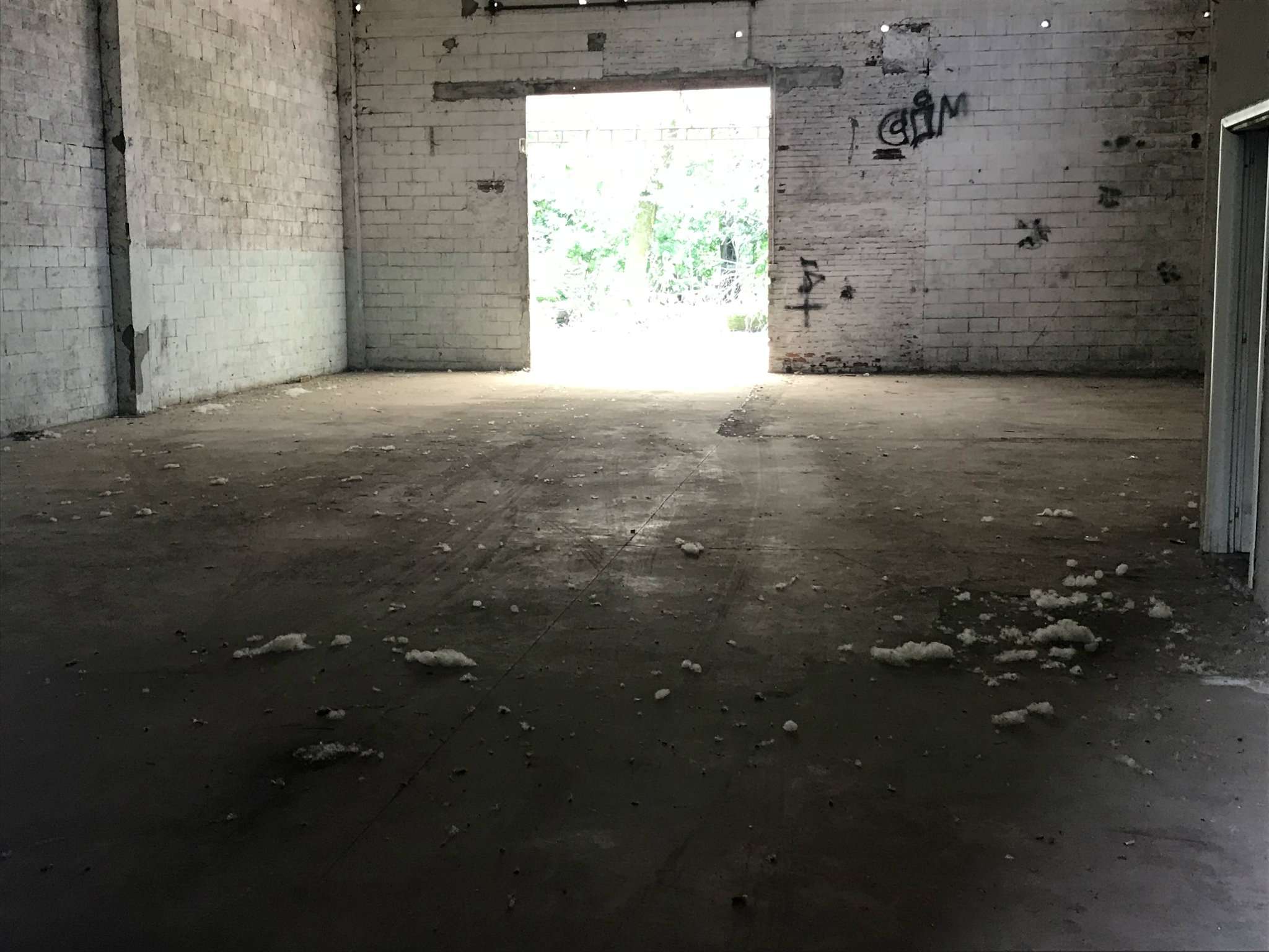  torino affitto quart: falchera frasca-immobiliare