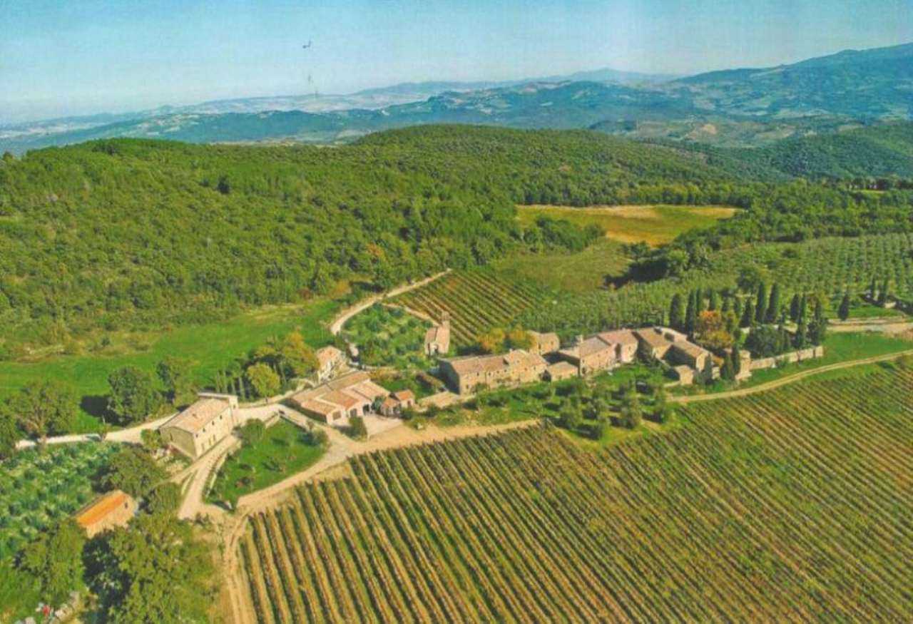 Appartamento MONTALCINO vendita   Montalcino Compagnia Immobiliare Tevere