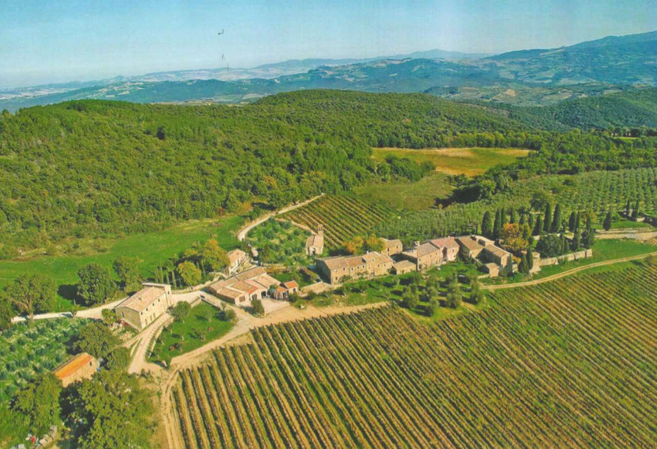 Appartamento MONTALCINO vendita   Località Montalcino Compagnia Immobiliare Tevere