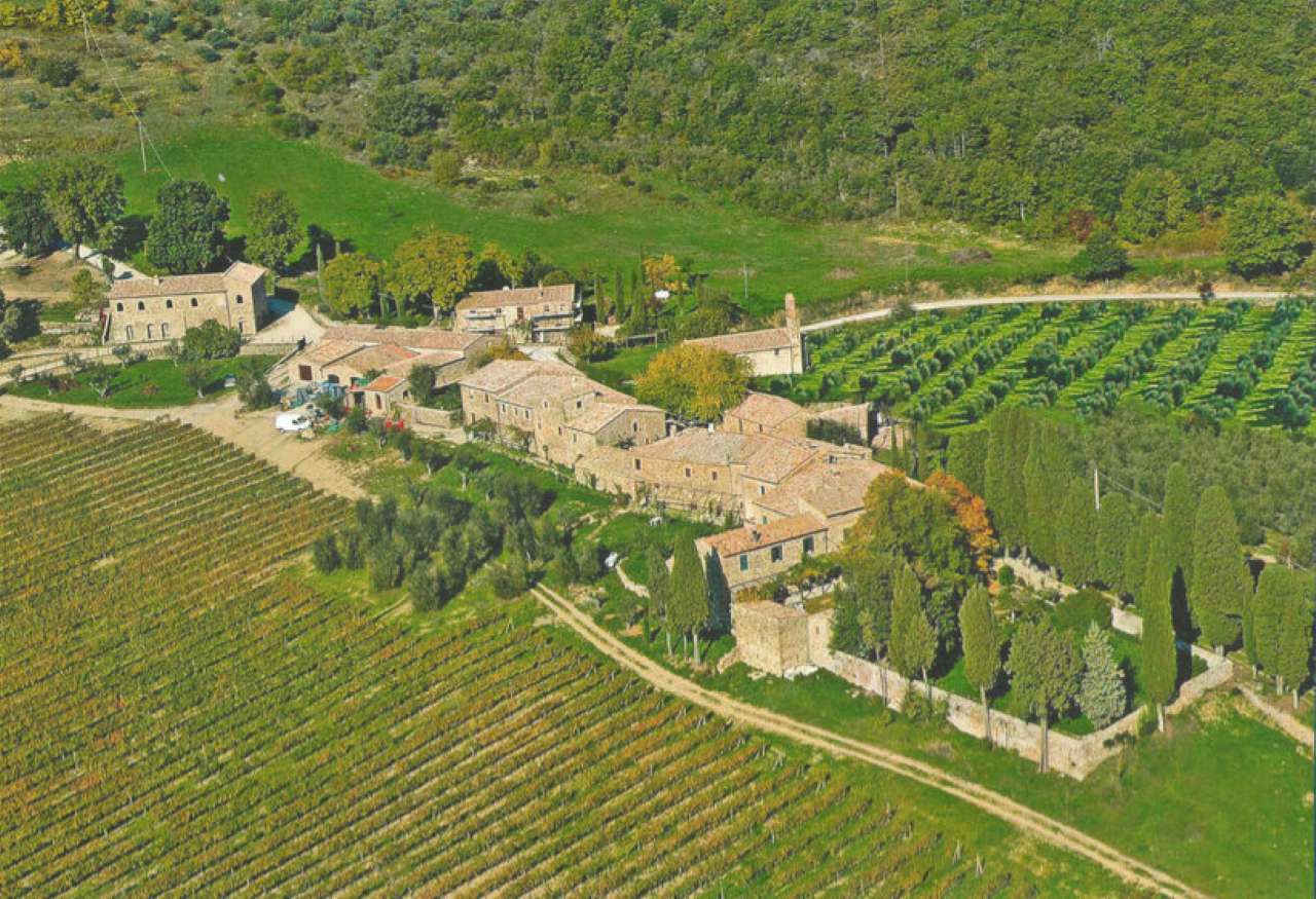 Appartamento MONTALCINO vendita   Località Montalcino Compagnia Immobiliare Tevere