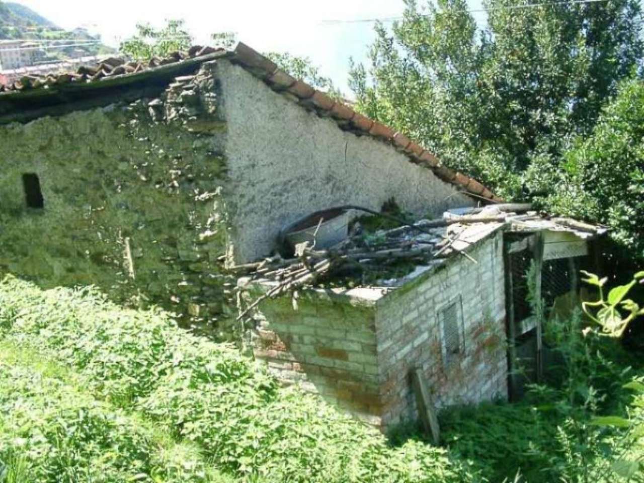 Rustico - Cascina BELLANO vendita   VIA FRAZ OMBRIACO L'immobiliare