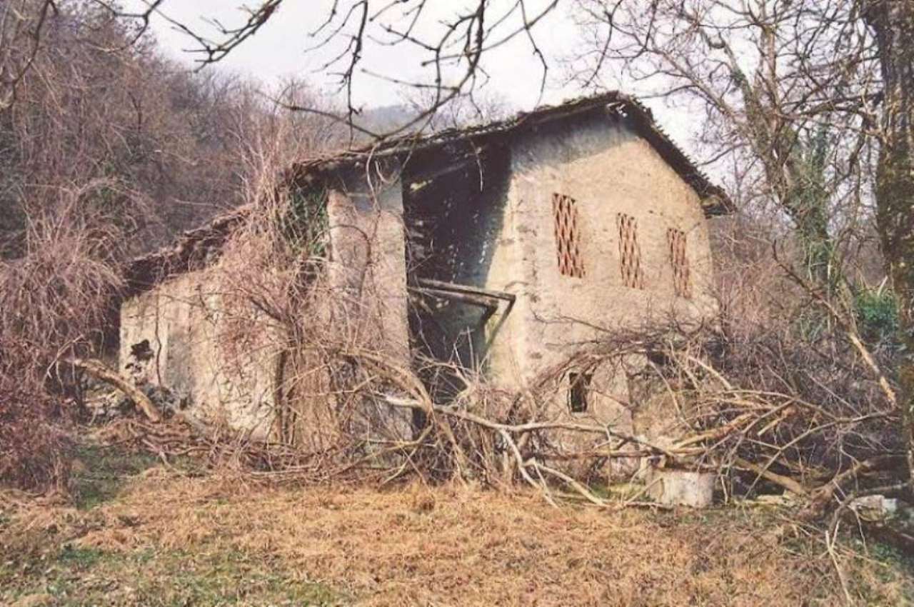 Rustico - Cascina VENDROGNO vendita   strada provinciale L'immobiliare