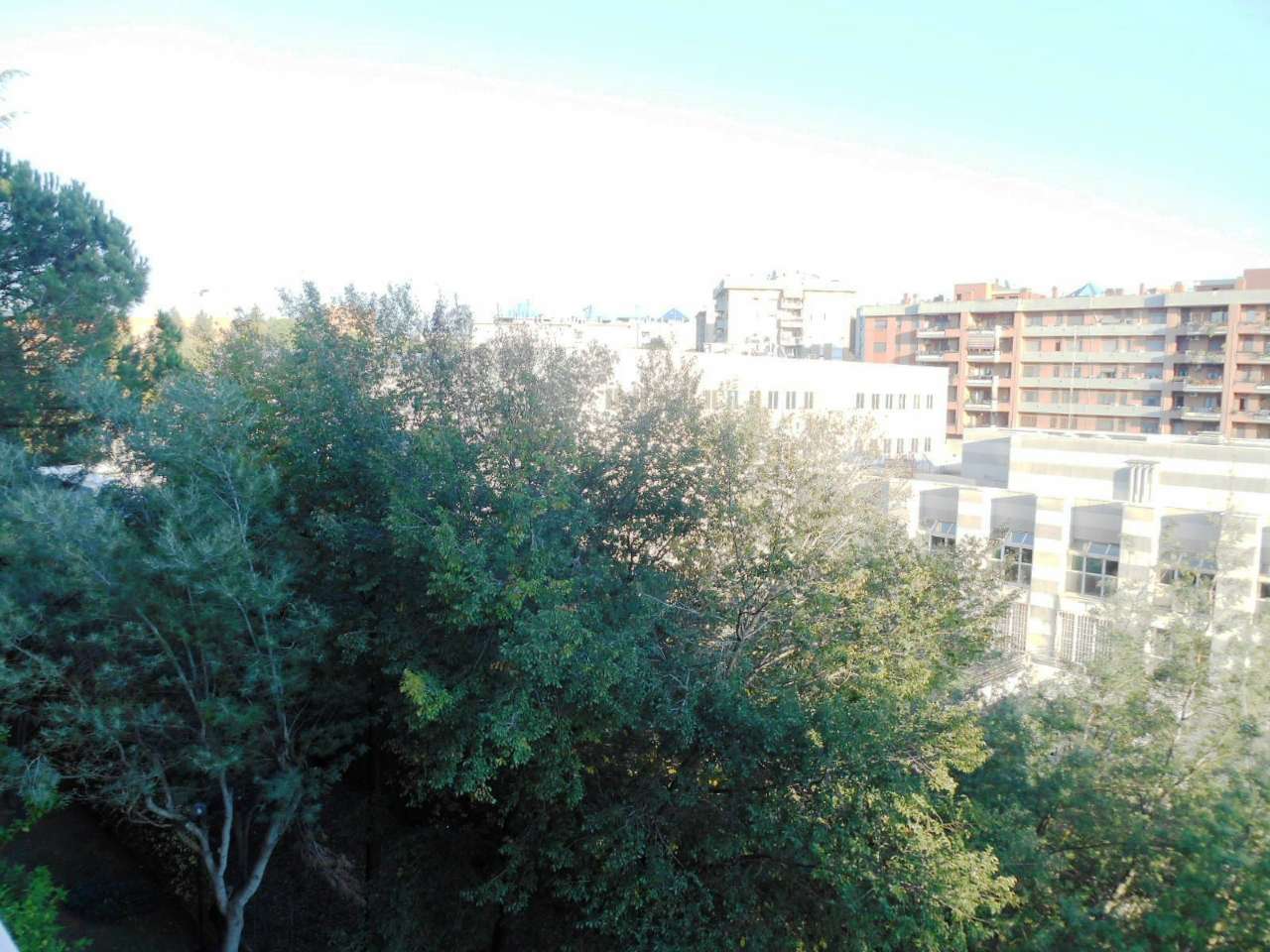 Appartamento ROMA vendita  NUOVO SALARIO Piagge Casenetwork