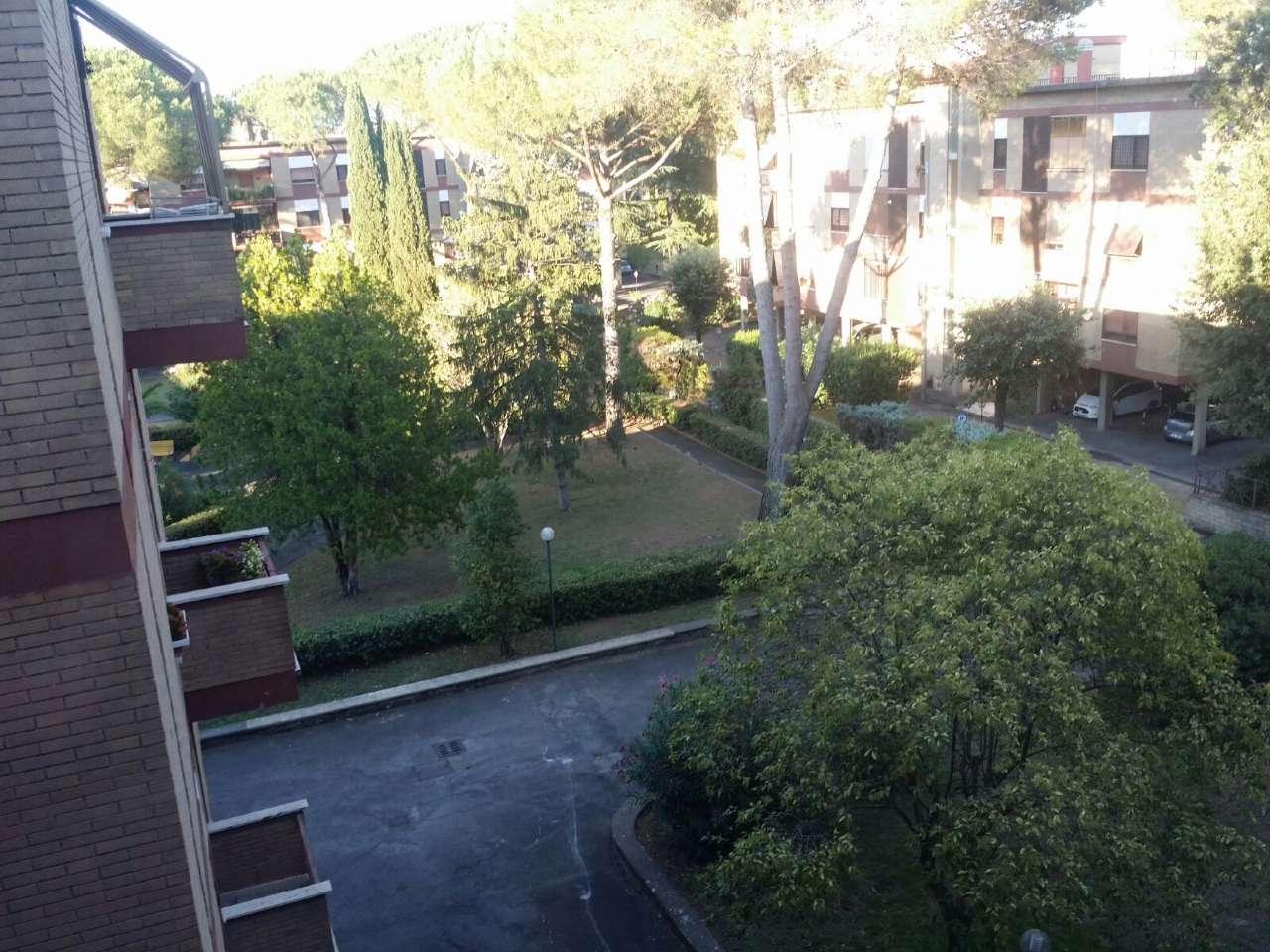 Appartamento ROMA vendita  NUOVO SALARIO costantino perazzi C&D Immobiliare S.r.l.s.