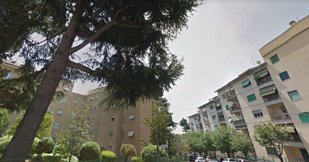Appartamento ROMA vendita  NUOVO SALARIO Ottorino Gentiloni C&D Immobiliare S.r.l.s.