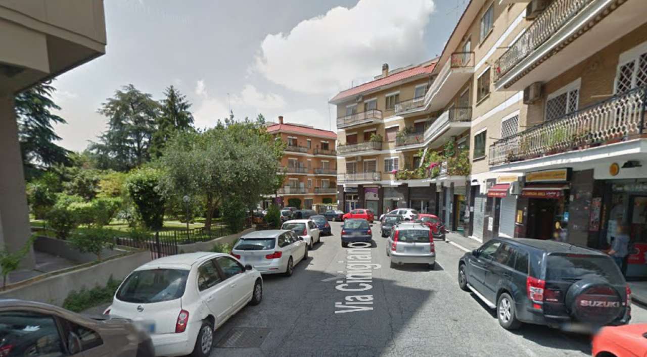 Negozio - Loc.Com. ROMA vendita  NUOVO SALARIO Cinigiano C&D Immobiliare S.r.l.s.