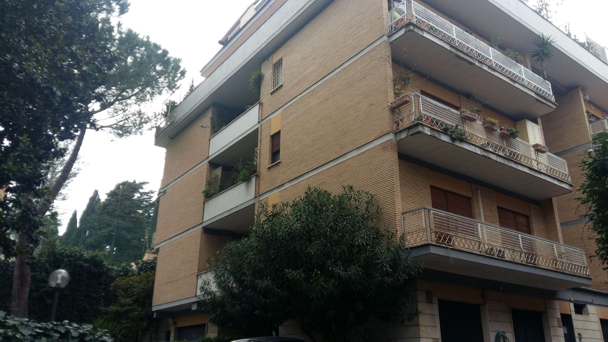 Appartamento ROMA affitto   Madesimo C&D Immobiliare S.r.l.s.