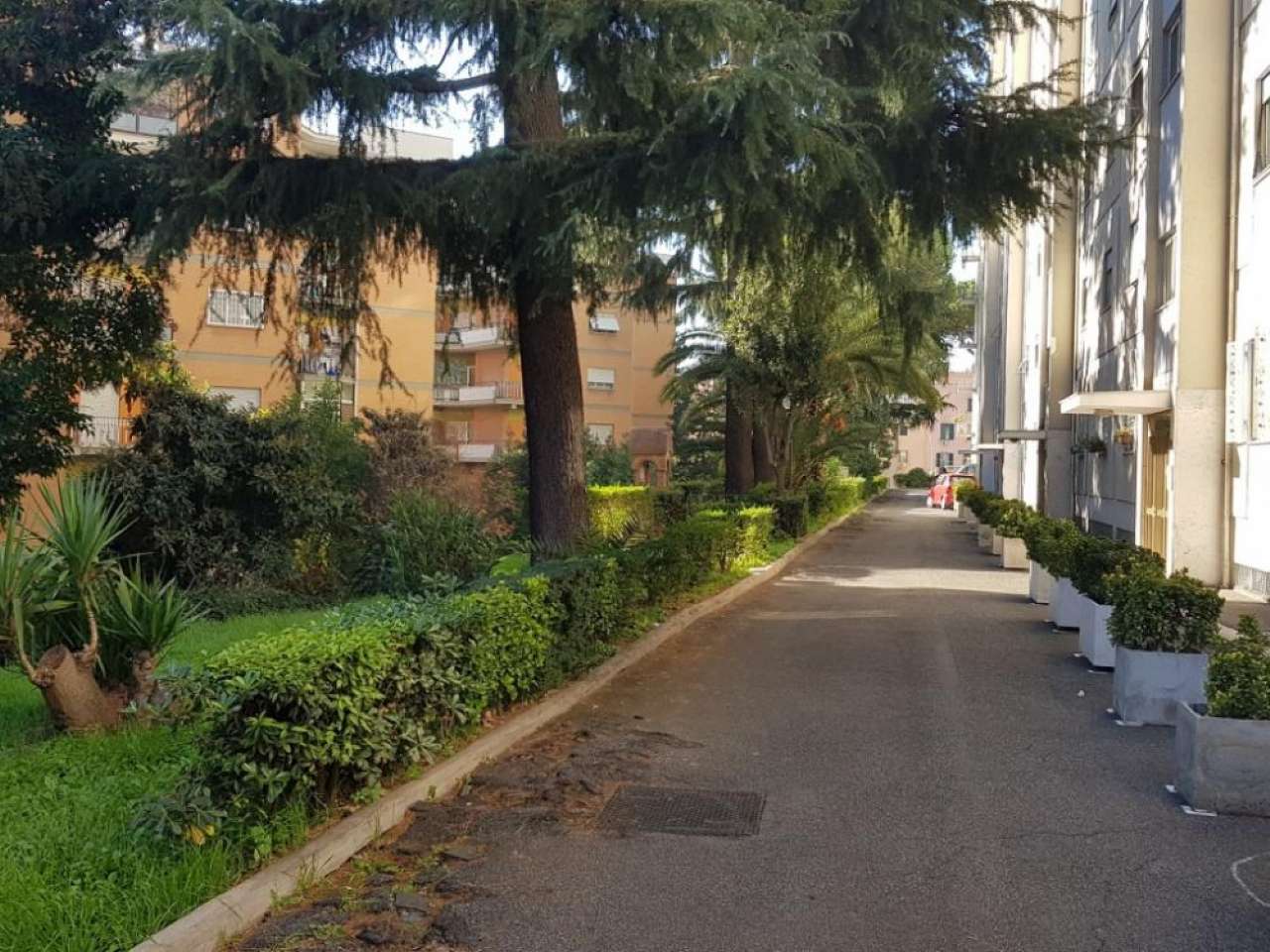 Appartamento ROMA vendita  NUOVO SALARIO Giovanni Faldella C&D Immobiliare S.r.l.s.