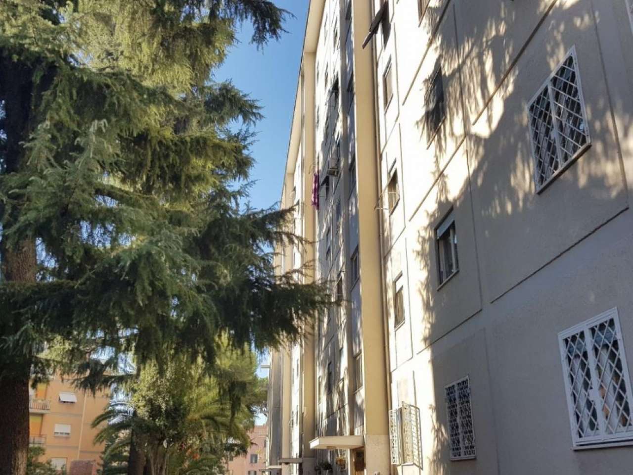 Appartamento ROMA vendita  NUOVO SALARIO Giovanni Faldella C&D Immobiliare S.r.l.s.