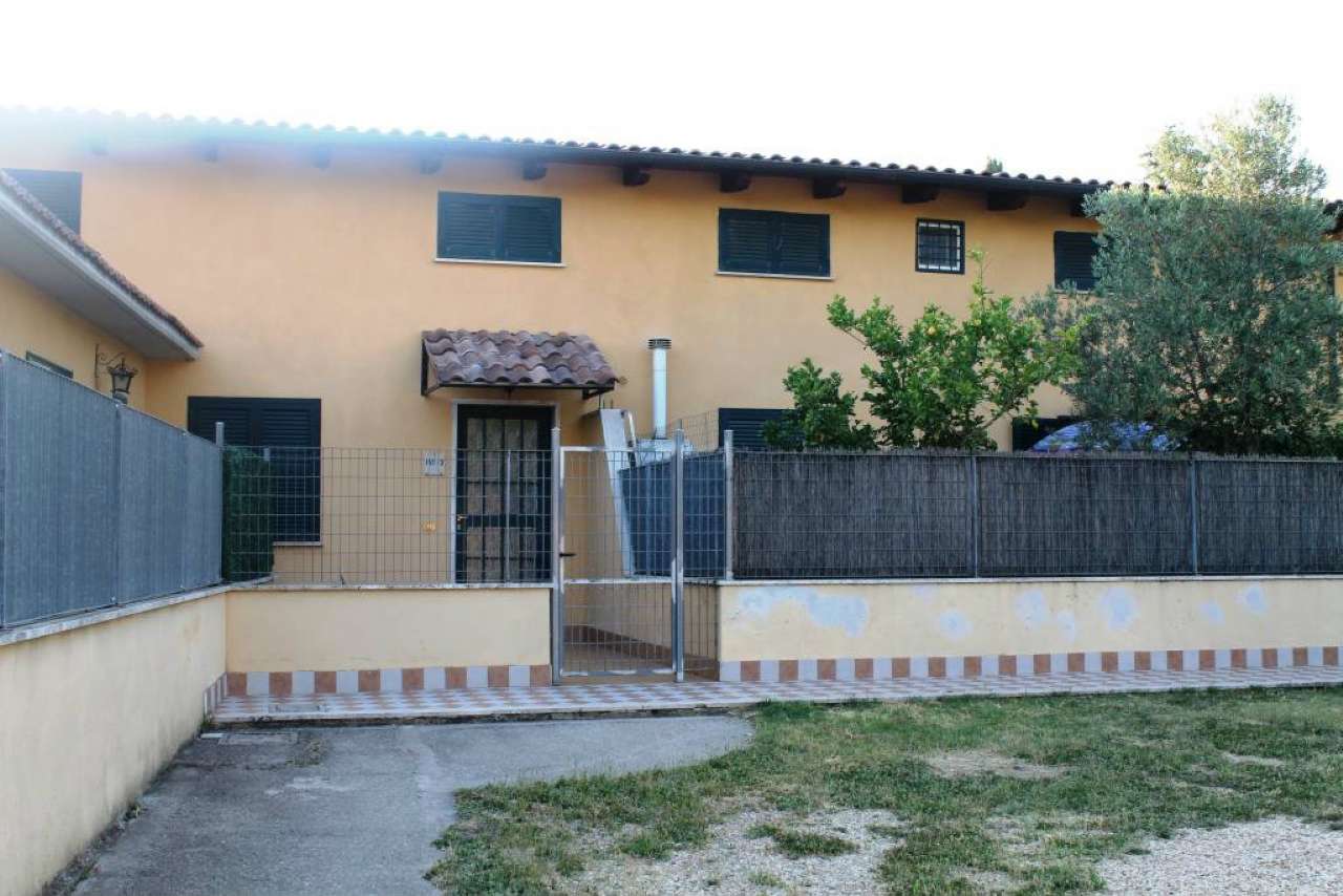 Villa ROMA affitto  AURELIO (XVIII MUN.) VIA CAREZZANO M.Rachele Immobiliare di Monge Rachele