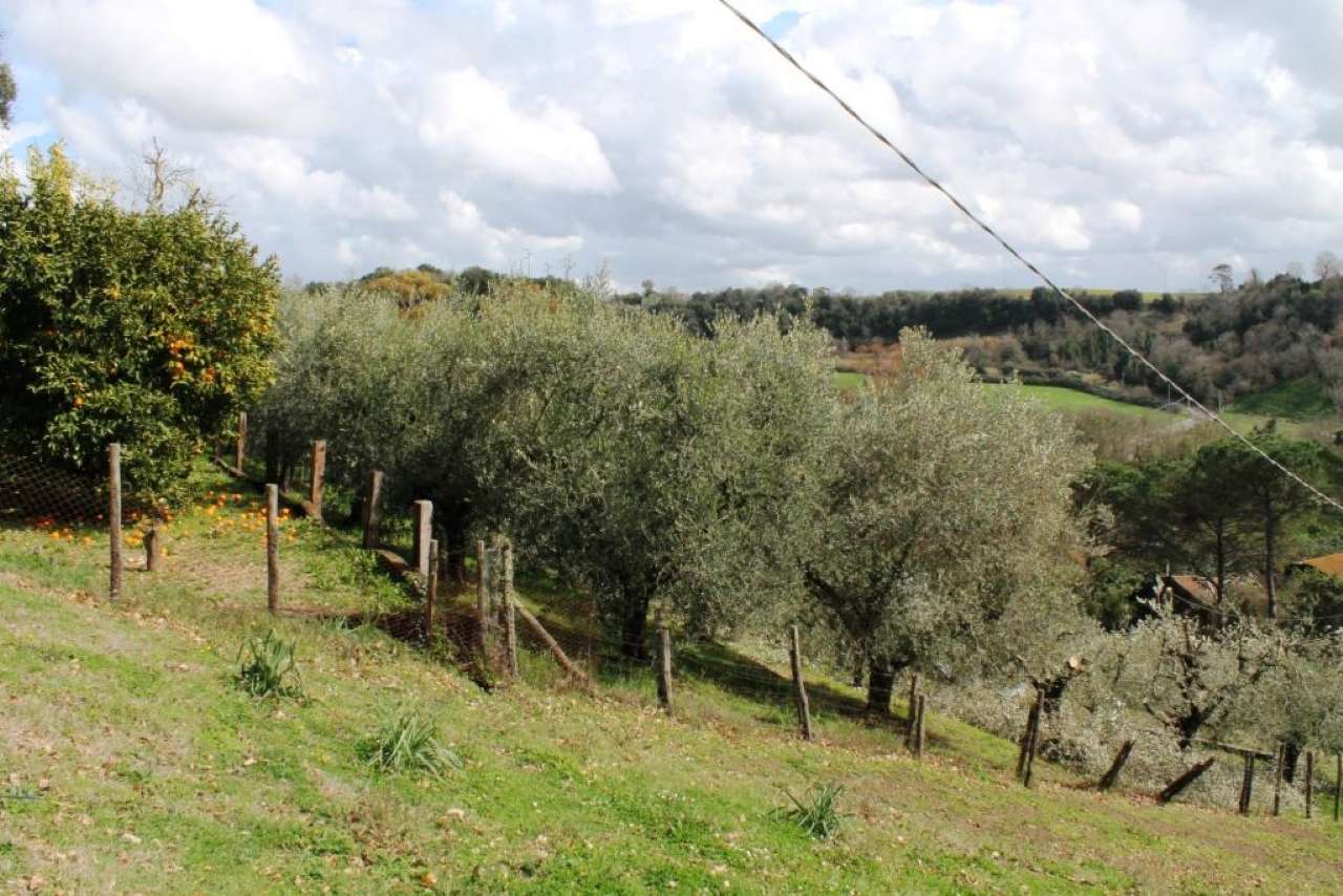 Villa Unifamiliare - Indipendente ROMA vendita  AURELIO (XVIII MUN.) VIA DI TRAGLIATA M.Rachele Immobiliare di Monge Rachele