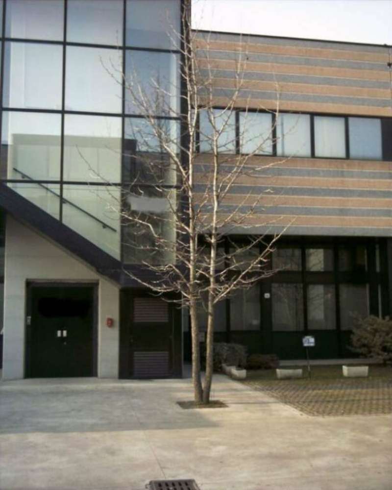 Capannoni (Tutti) COMO vendita  ALBATE Tentorio Falzone servizi immobiliari