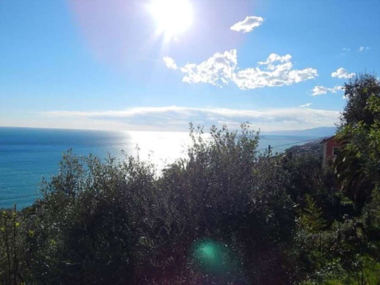  pieve ligure vendita quart:  studio immobiliare massa