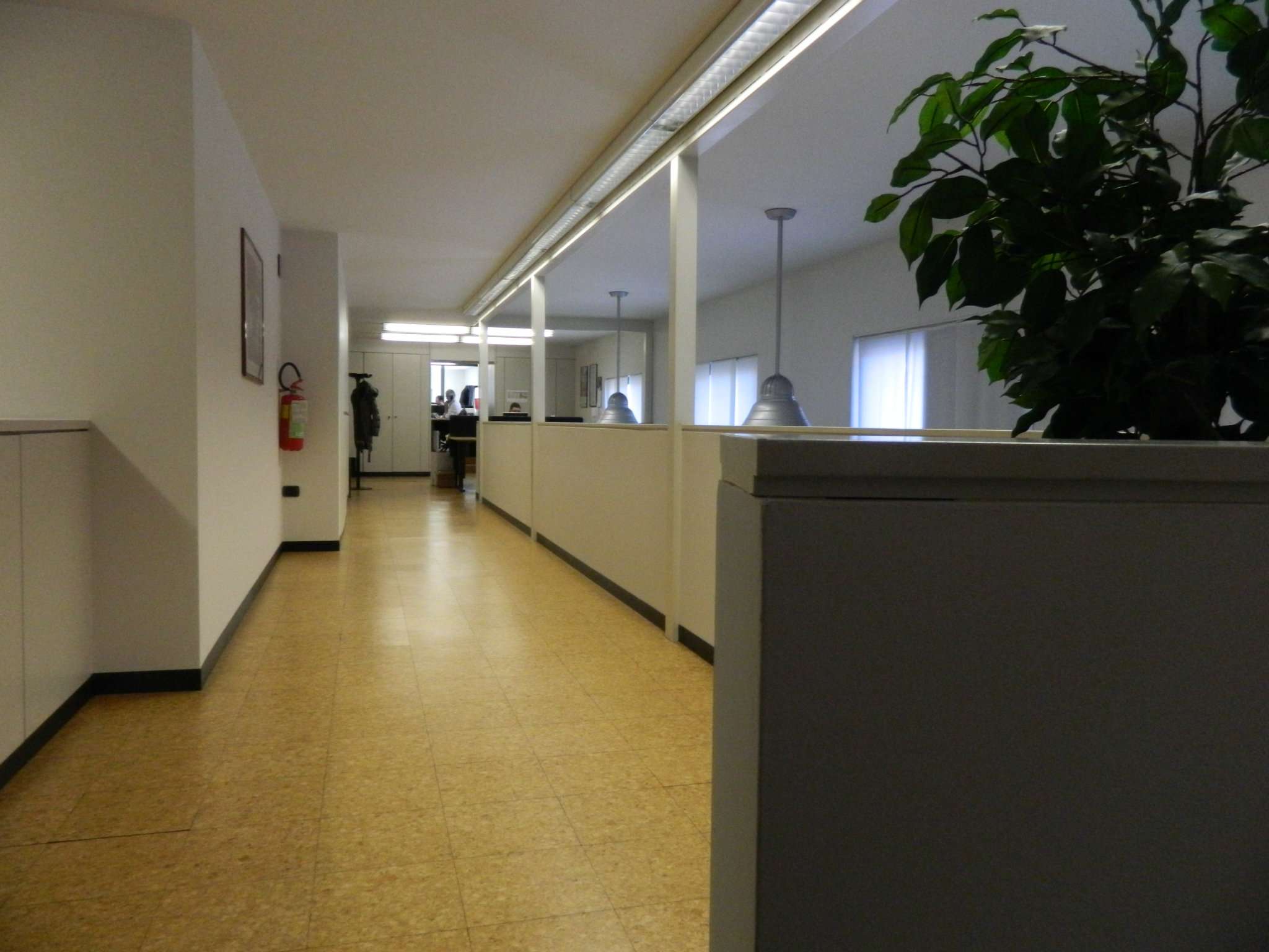 Negozio - Loc.Com. SONDRIO affitto   Cesura Stabile Servizi Immobiliari