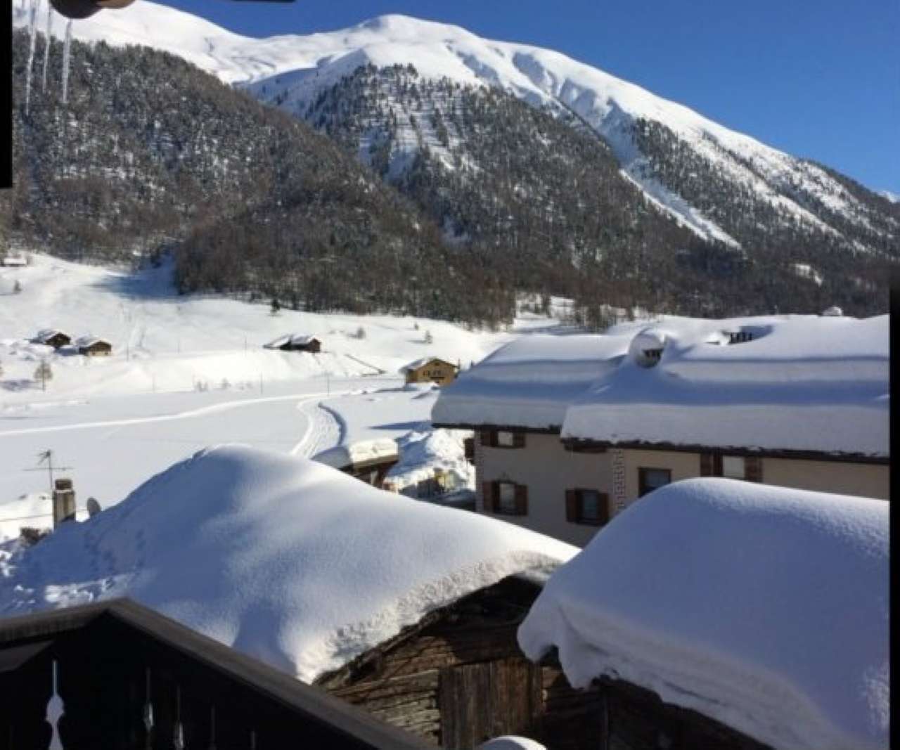 Appartamento LIVIGNO vendita   Florin Stabile Servizi Immobiliari