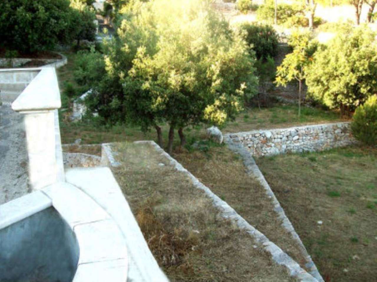 Villa FASANO vendita    Immobiliare LaTorre