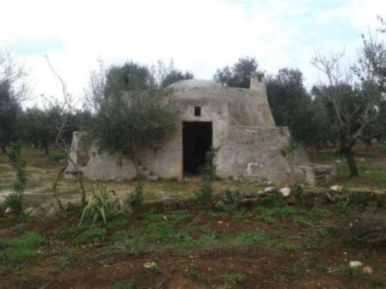 Baita - Chalet - Trullo OSTUNI vendita    Immobiliare LaTorre