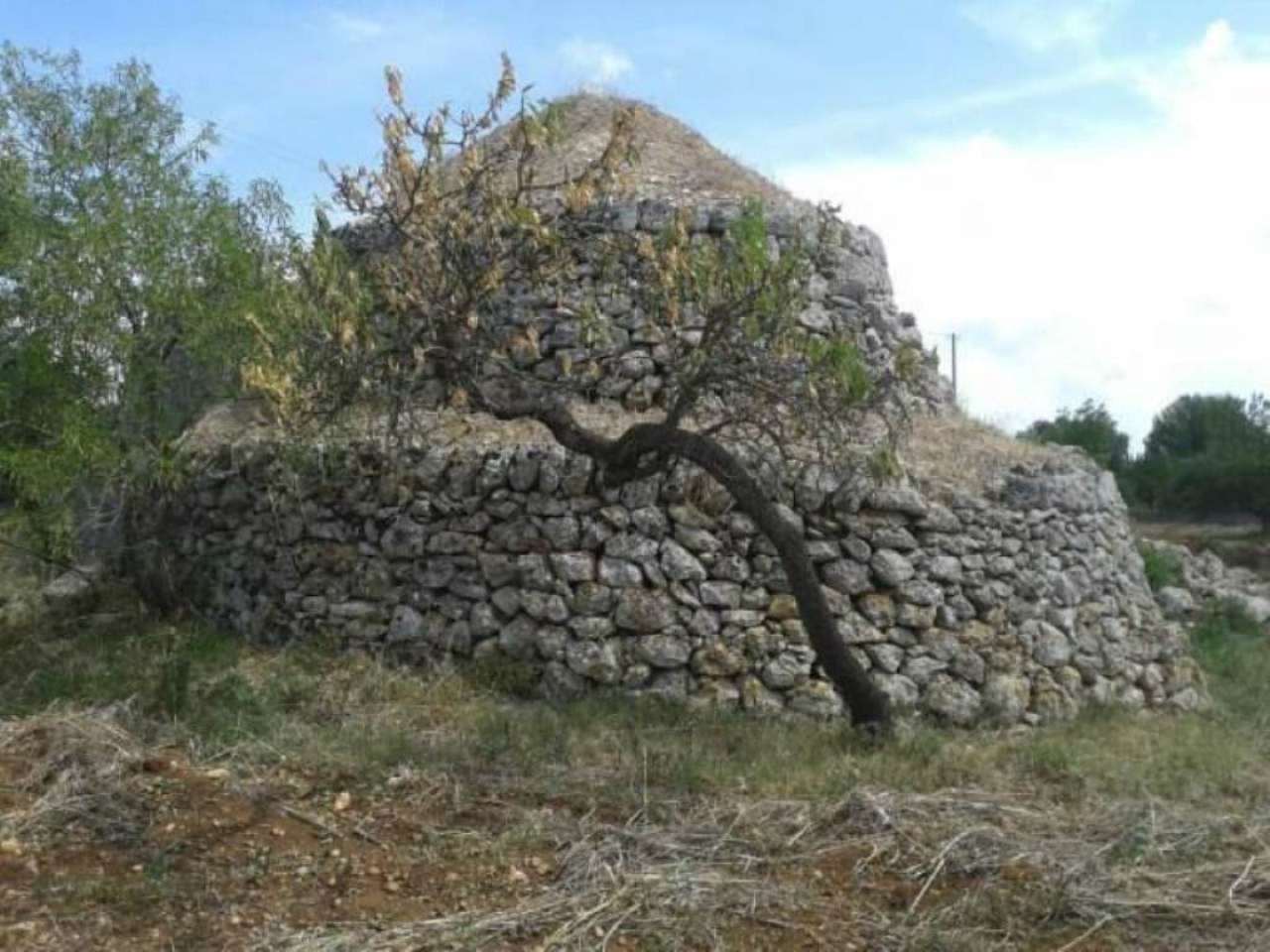 Baita - Chalet - Trullo OSTUNI vendita    Immobiliare LaTorre