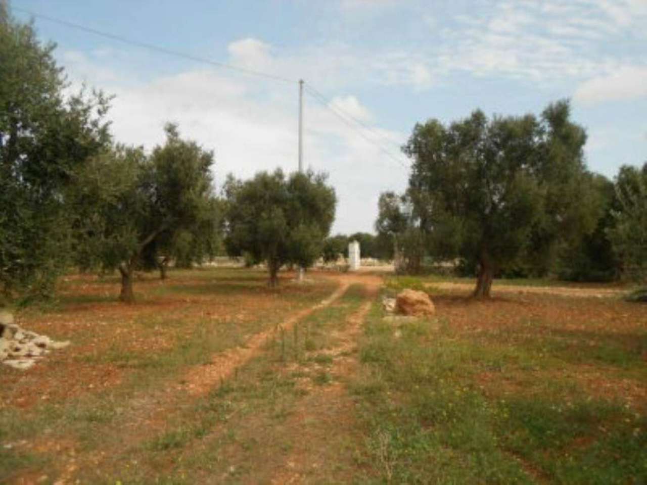 Rustico - Cascina OSTUNI vendita  contrada Casiedde  Immobiliare LaTorre