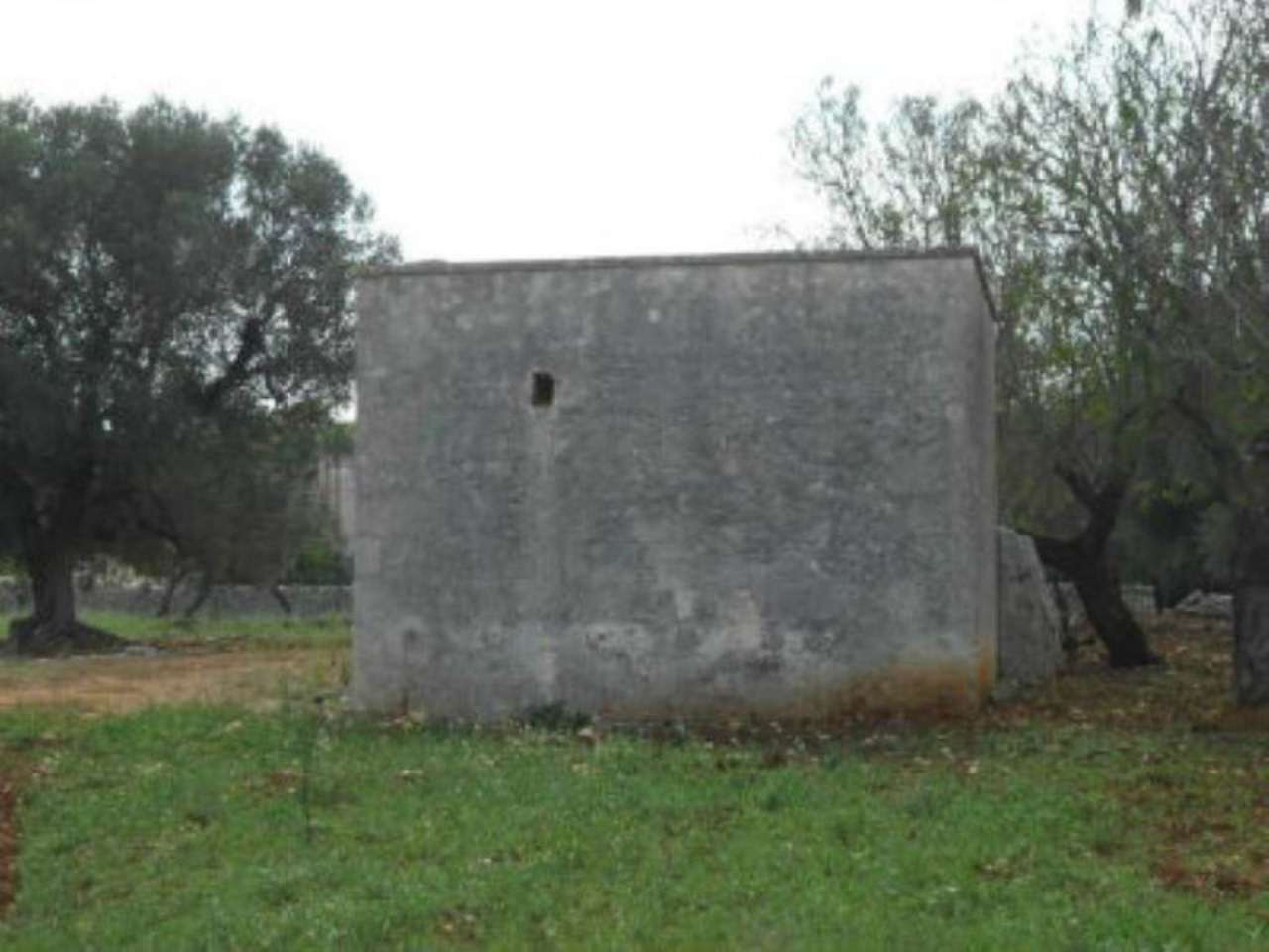 Rustico - Cascina OSTUNI vendita  contrada Casiedde  Immobiliare LaTorre