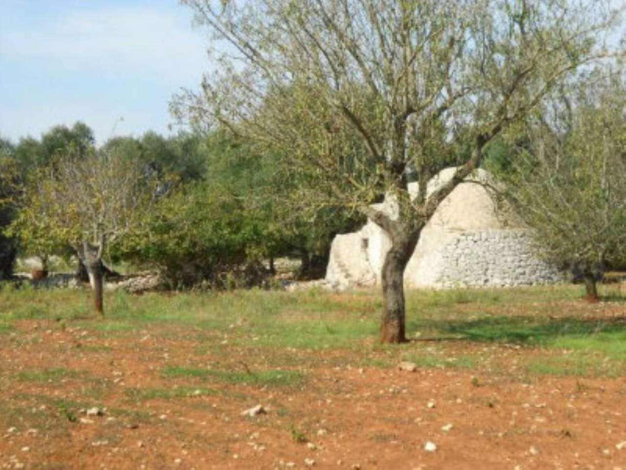 Baita - Chalet - Trullo OSTUNI vendita    Immobiliare LaTorre