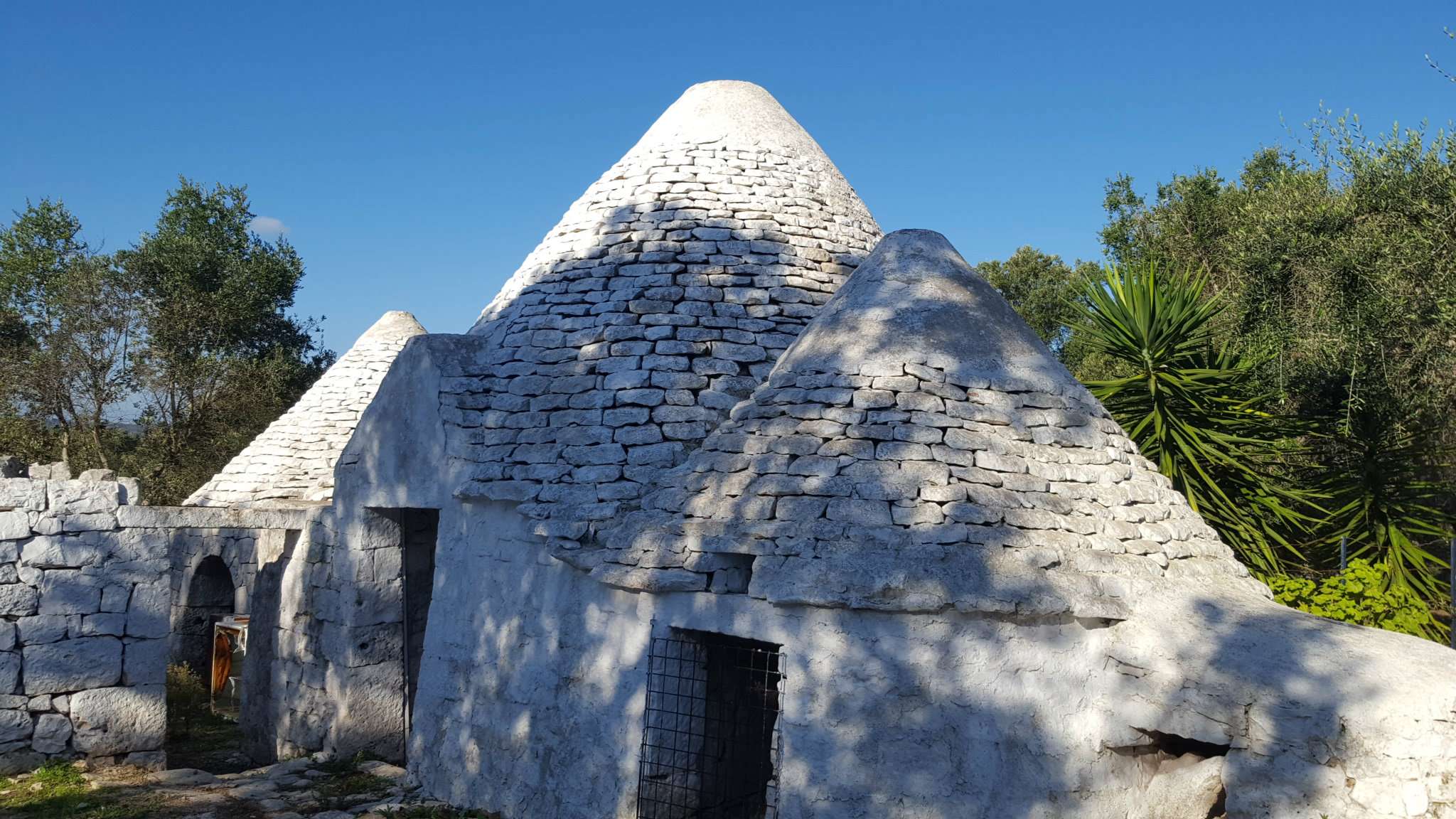 Baita - Chalet - Trullo OSTUNI vendita    Immobiliare LaTorre