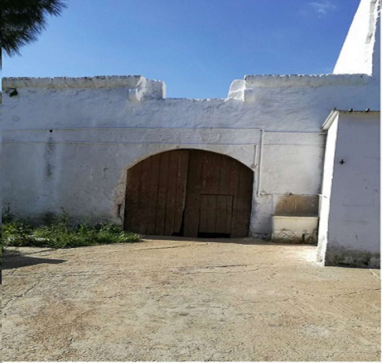 Rustico - Cascina FASANO vendita    Immobiliare LaTorre