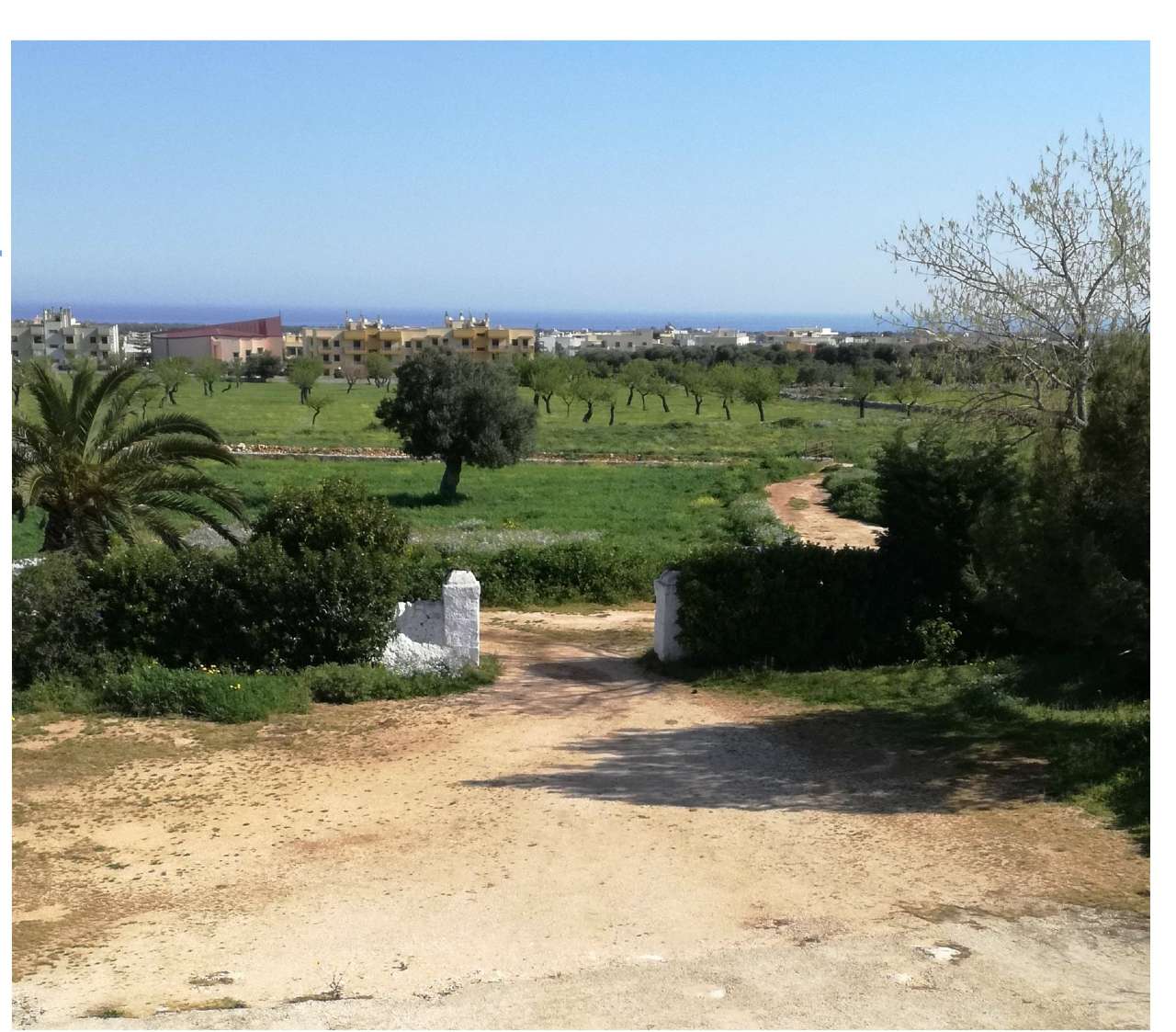 Rustico - Cascina FASANO vendita    Immobiliare LaTorre