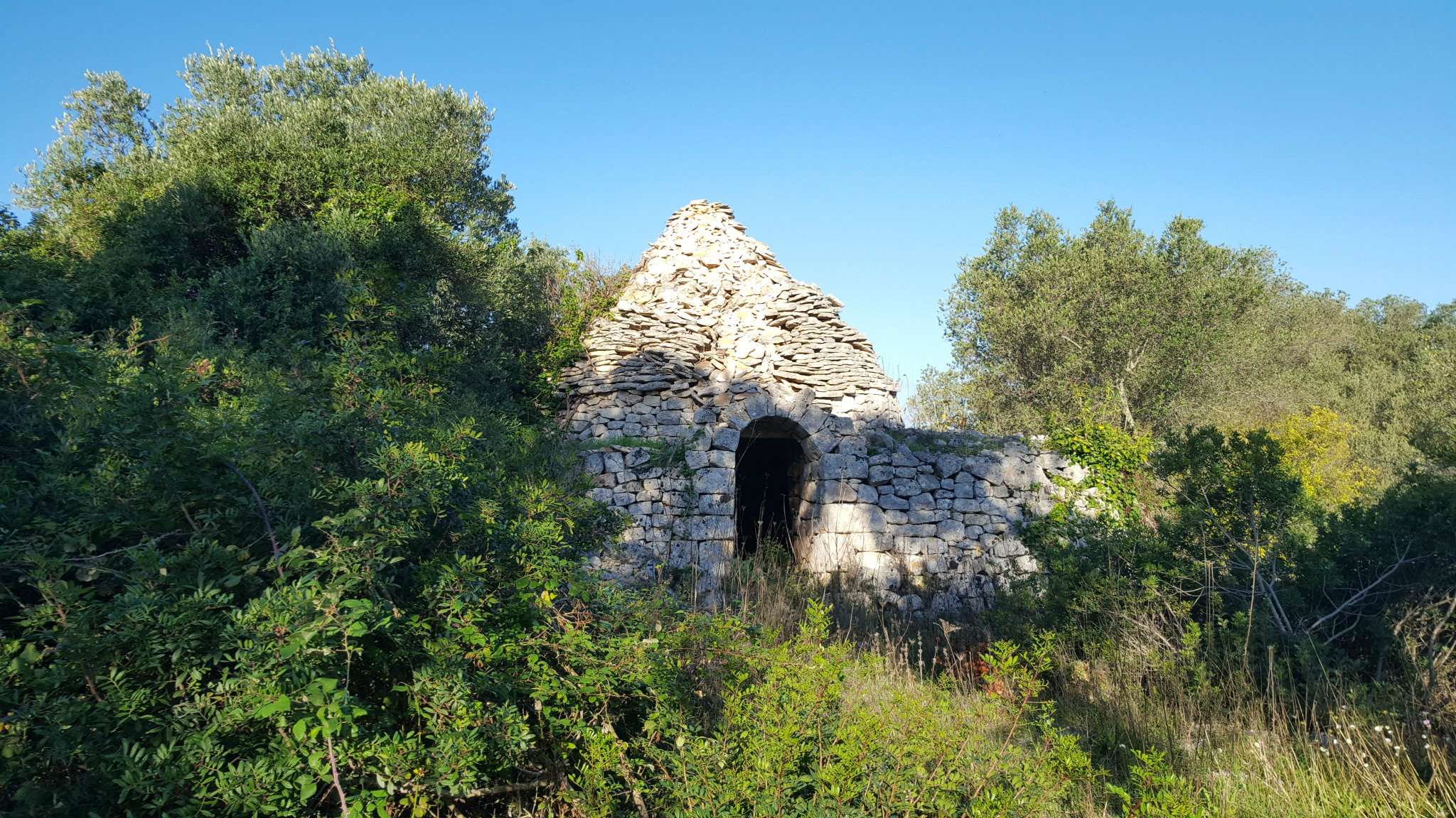  ostuni vendita quart:  immobiliare-latorre