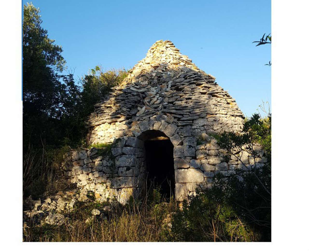 Baita - Chalet - Trullo OSTUNI vendita    Immobiliare LaTorre