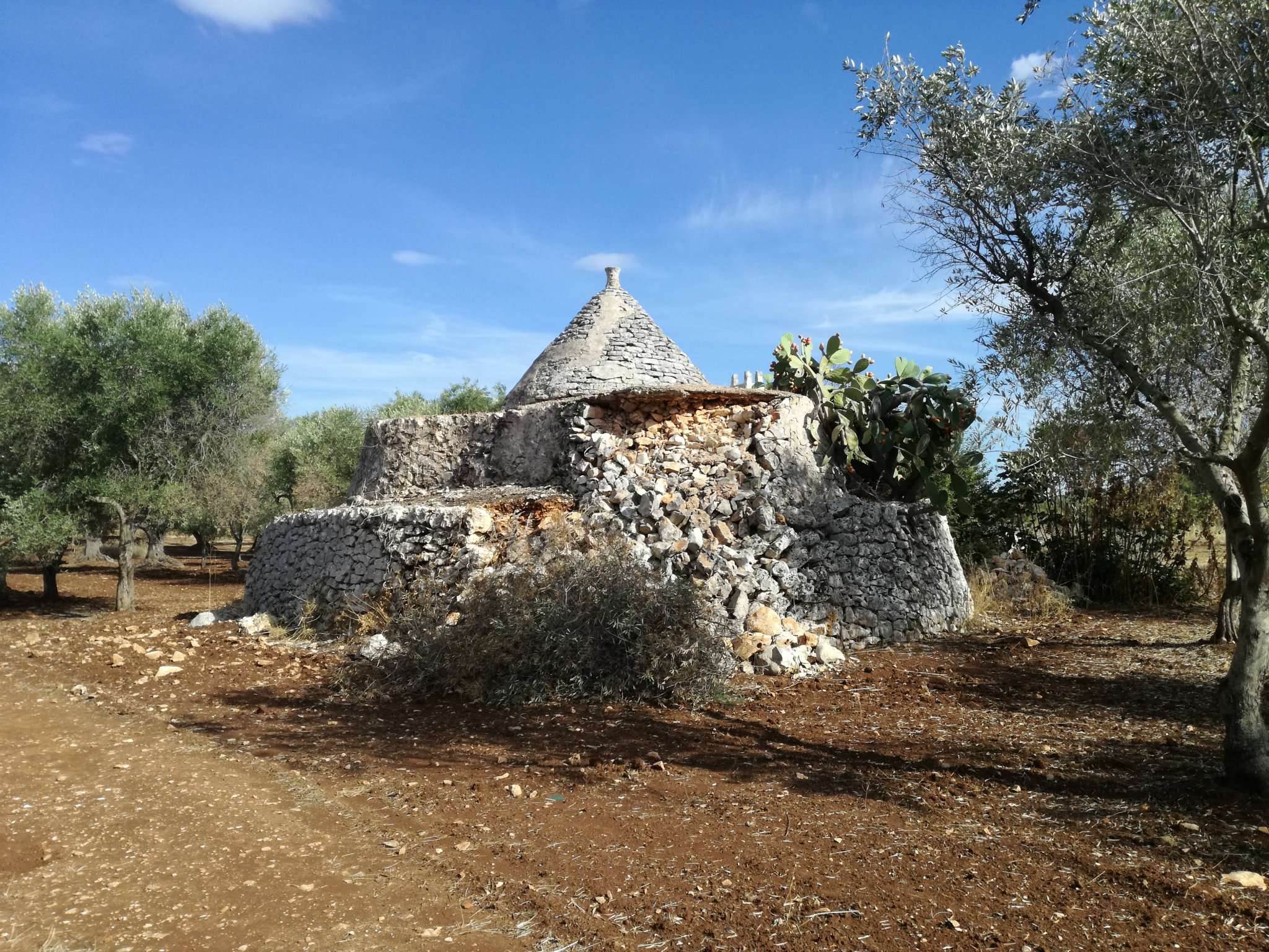 Baita - Chalet - Trullo SAN VITO DEI NORMANNI vendita    Immobiliare LaTorre