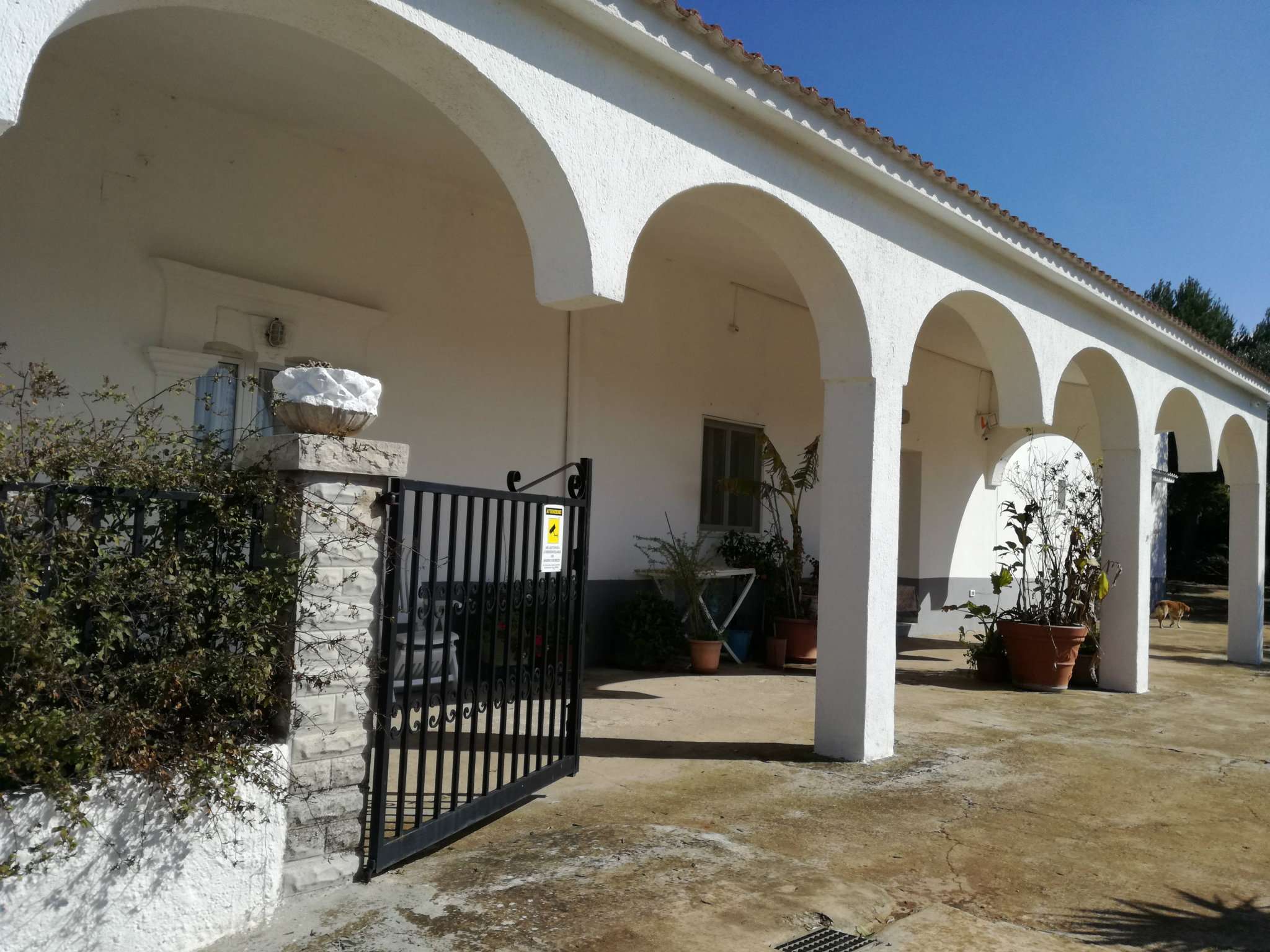 Villa Unifamiliare - Indipendente OSTUNI vendita    Immobiliare LaTorre