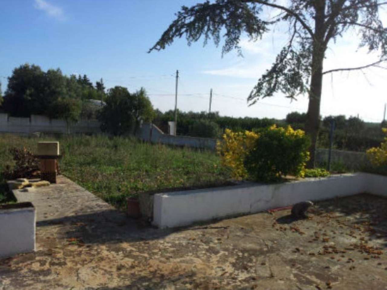 Villa Unifamiliare - Indipendente OSTUNI vendita    Immobiliare LaTorre