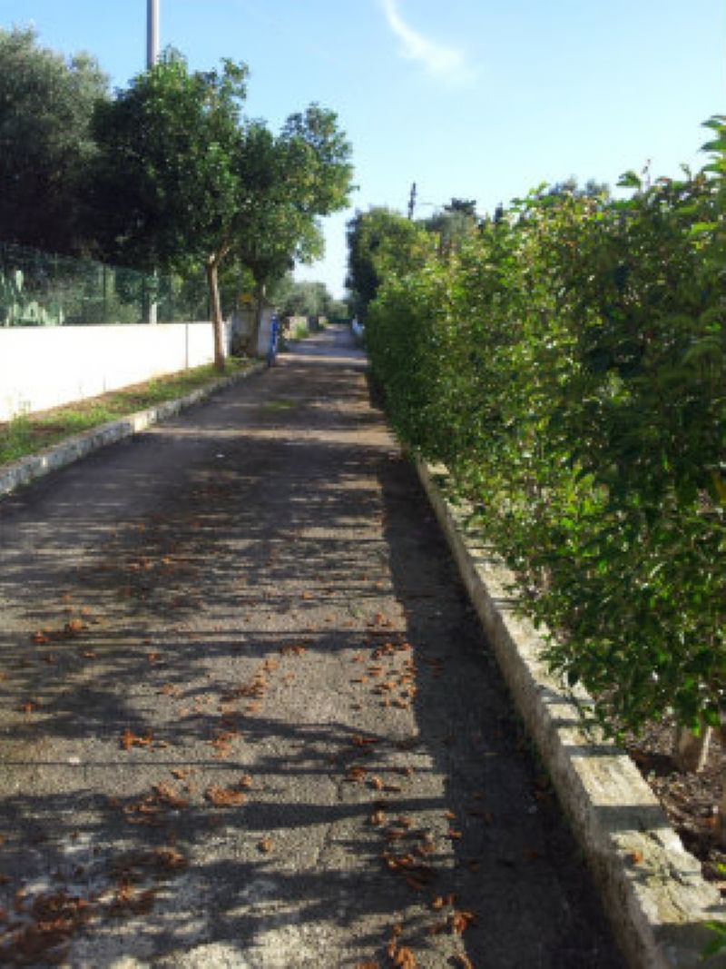 Villa Unifamiliare - Indipendente OSTUNI vendita    Immobiliare LaTorre