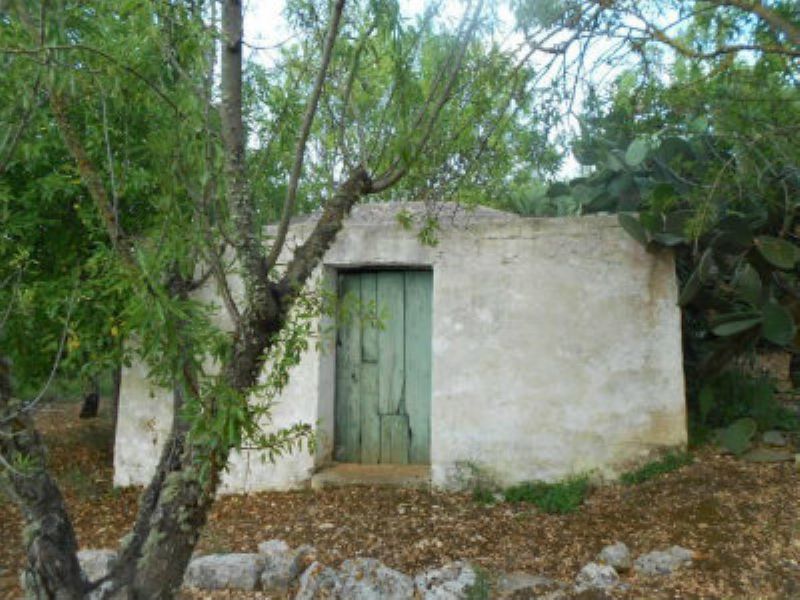 Baita - Chalet - Trullo OSTUNI vendita    Immobiliare LaTorre