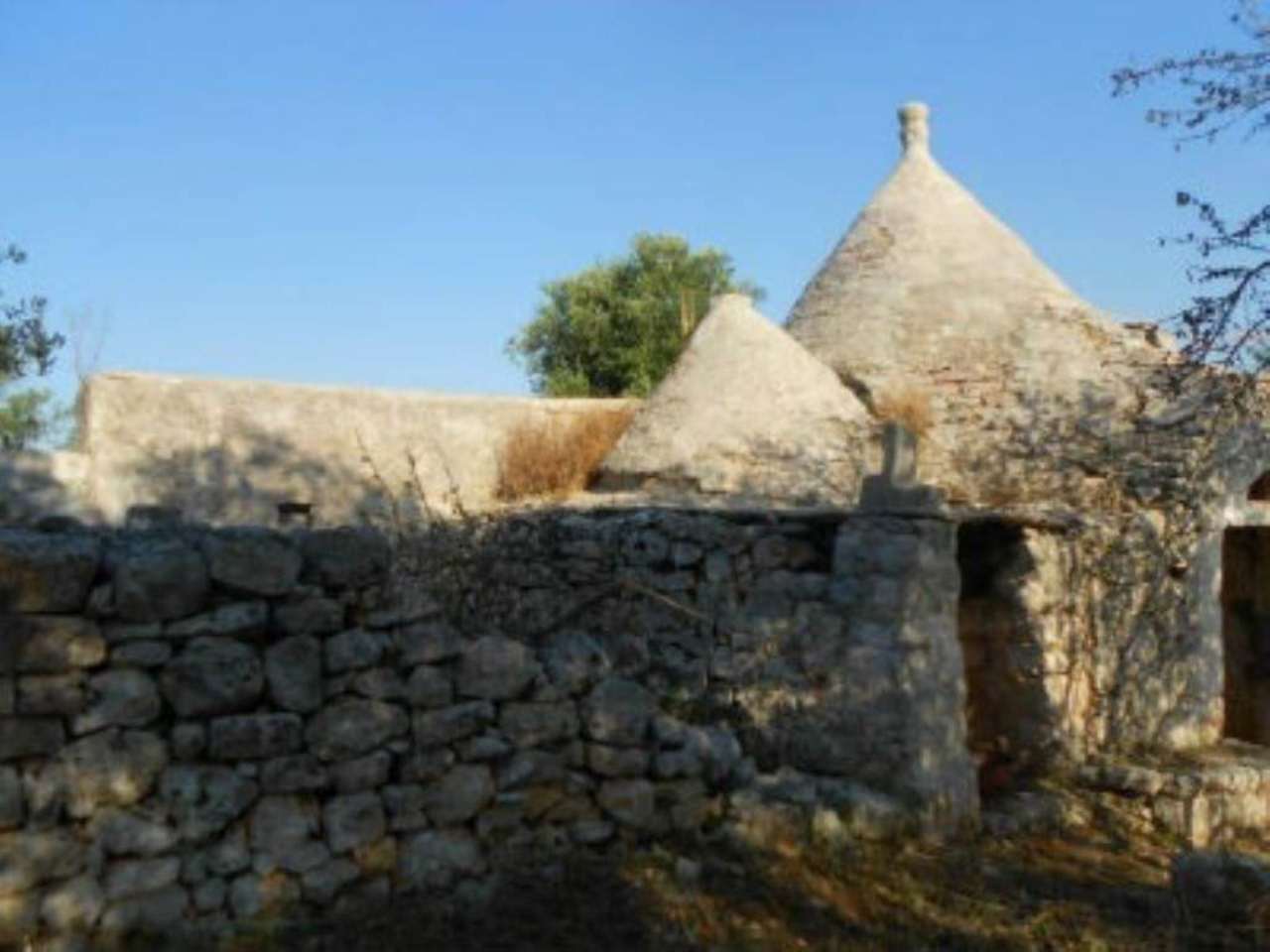 Baita - Chalet - Trullo OSTUNI vendita  contrada Cervarolo  Immobiliare LaTorre