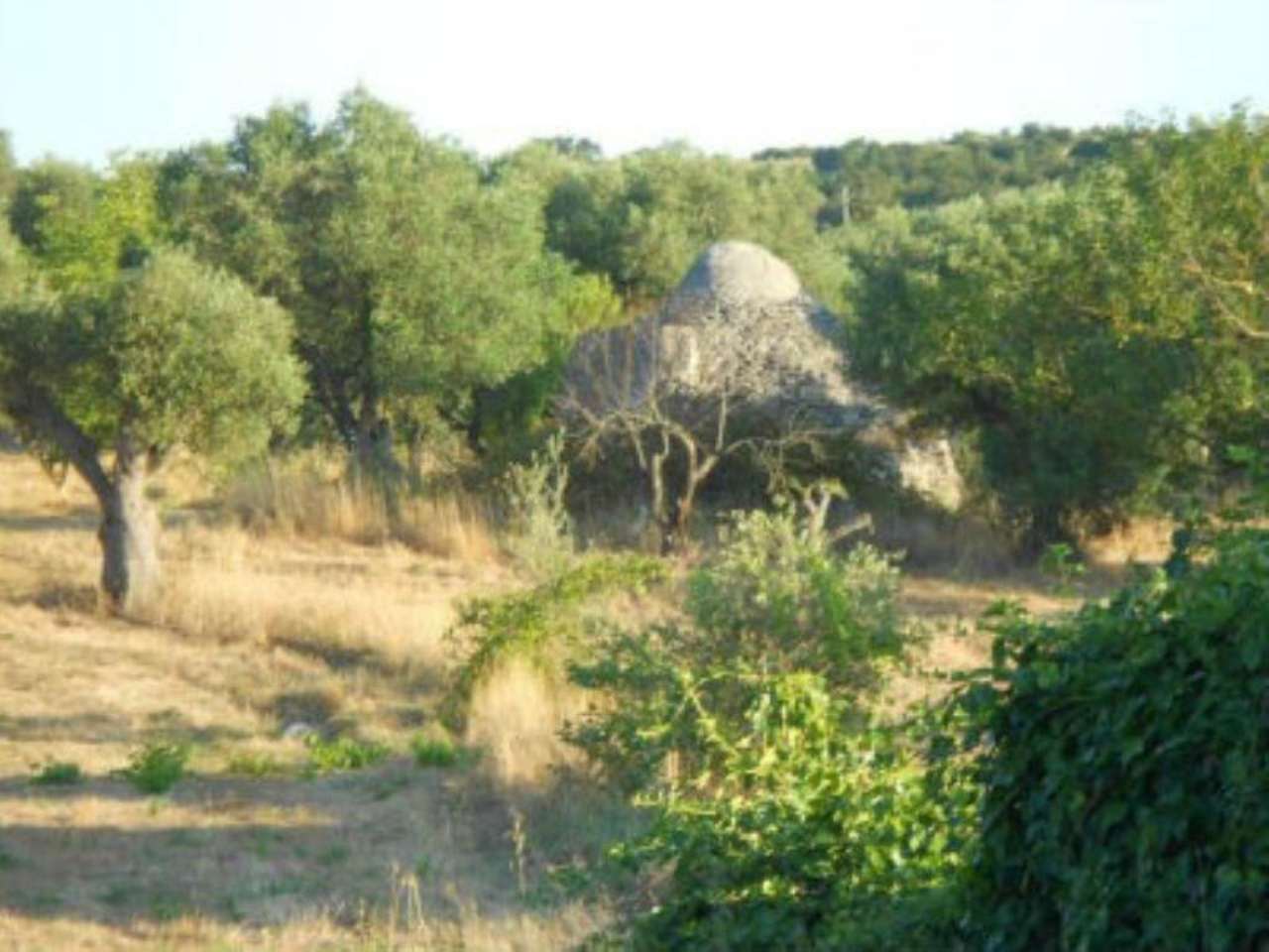 Baita - Chalet - Trullo OSTUNI vendita    Immobiliare LaTorre