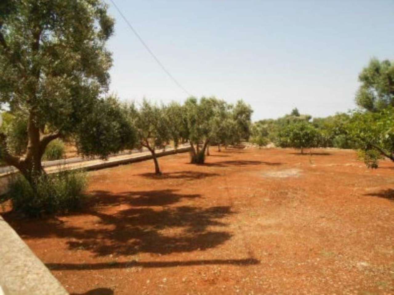 Baita - Chalet - Trullo OSTUNI vendita    Immobiliare LaTorre